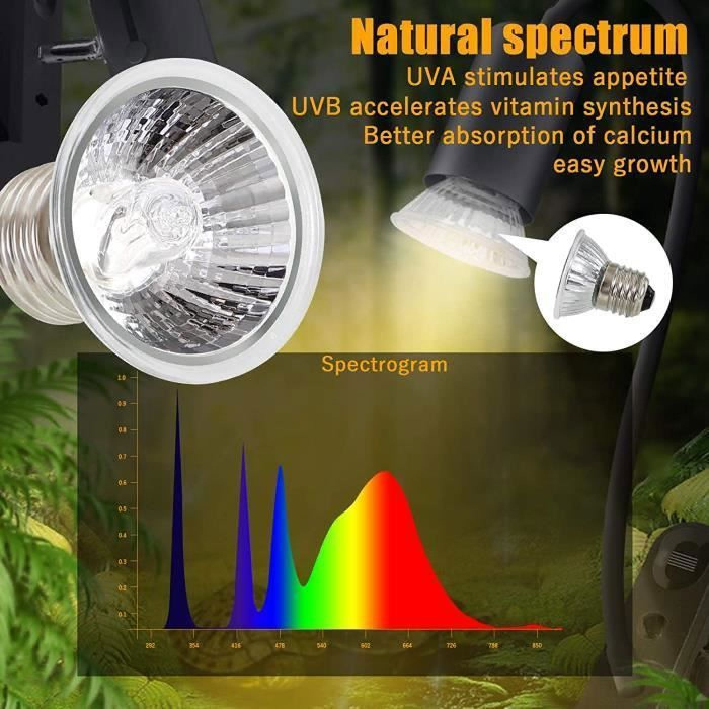 Eine Vollspektrum-Terrariumlampe zeigt den Reflektor und ein Farbspektrogramm mit Text zu den Vorteilen.