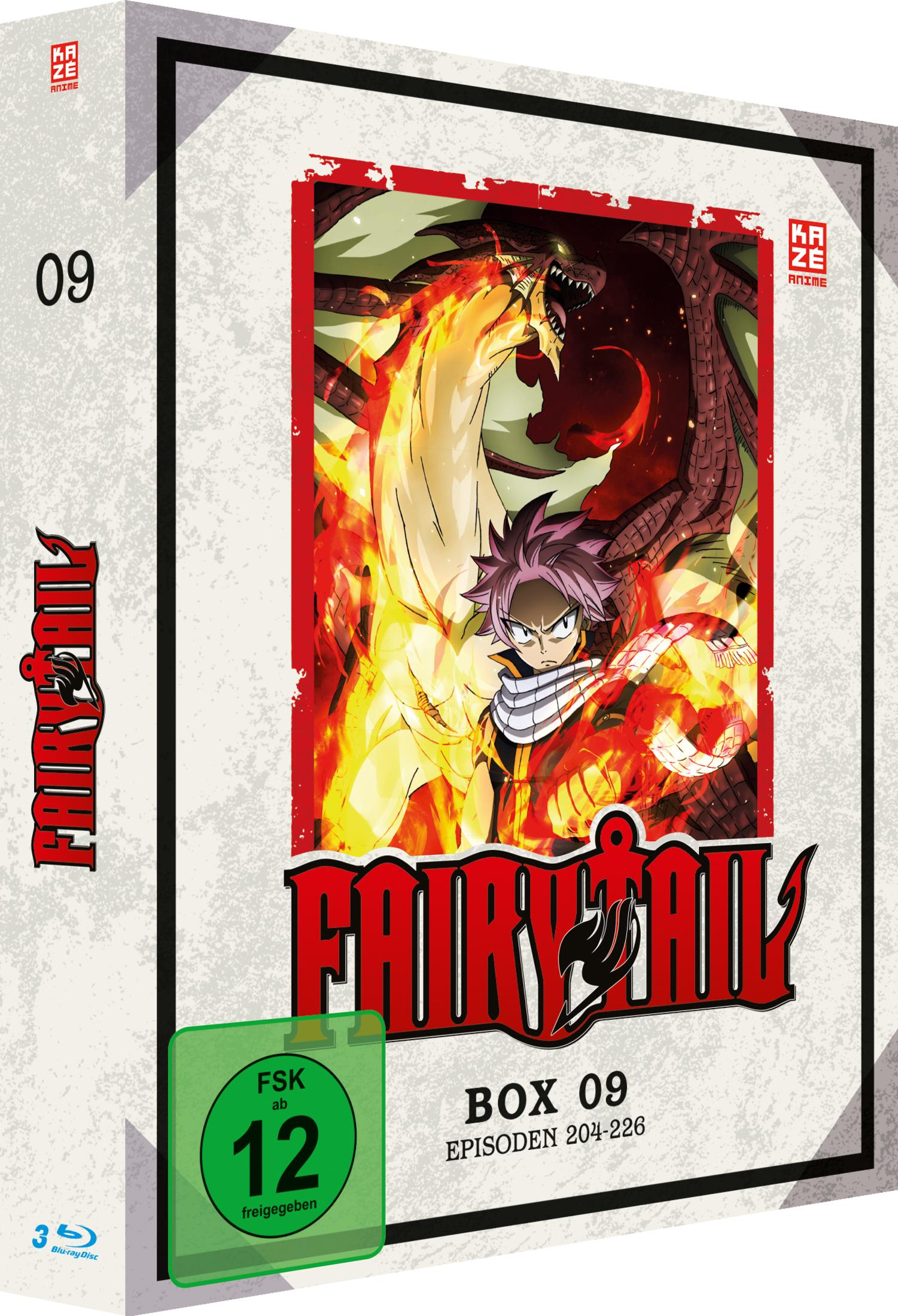Fairy Tail Box 09 Anime Blu-ray Cover mit Natsu und Drache.