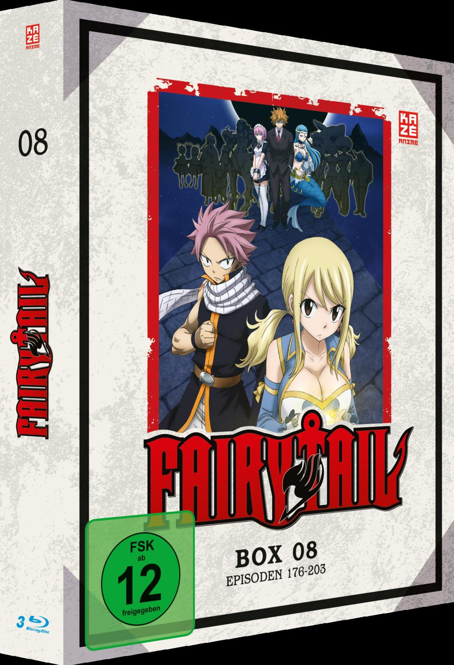 Anime Blu-ray Box 8 von Fairy Tail mit Natsu und Lucy auf dem Cover.