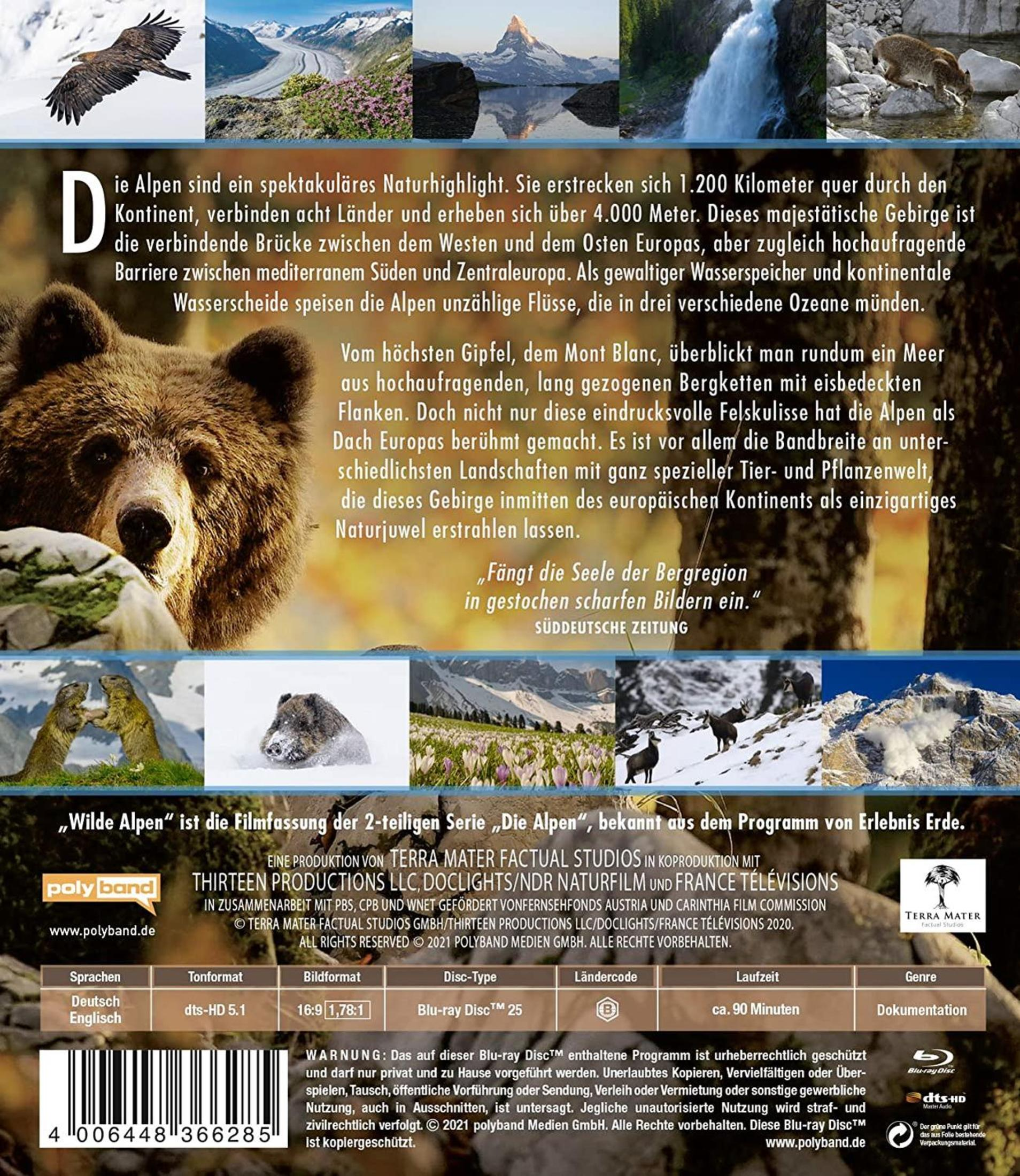 Rückseite einer Blu-ray-Hülle über die Alpen mit Bildern von Tieren, Bergen und deutschsprachigem Text.