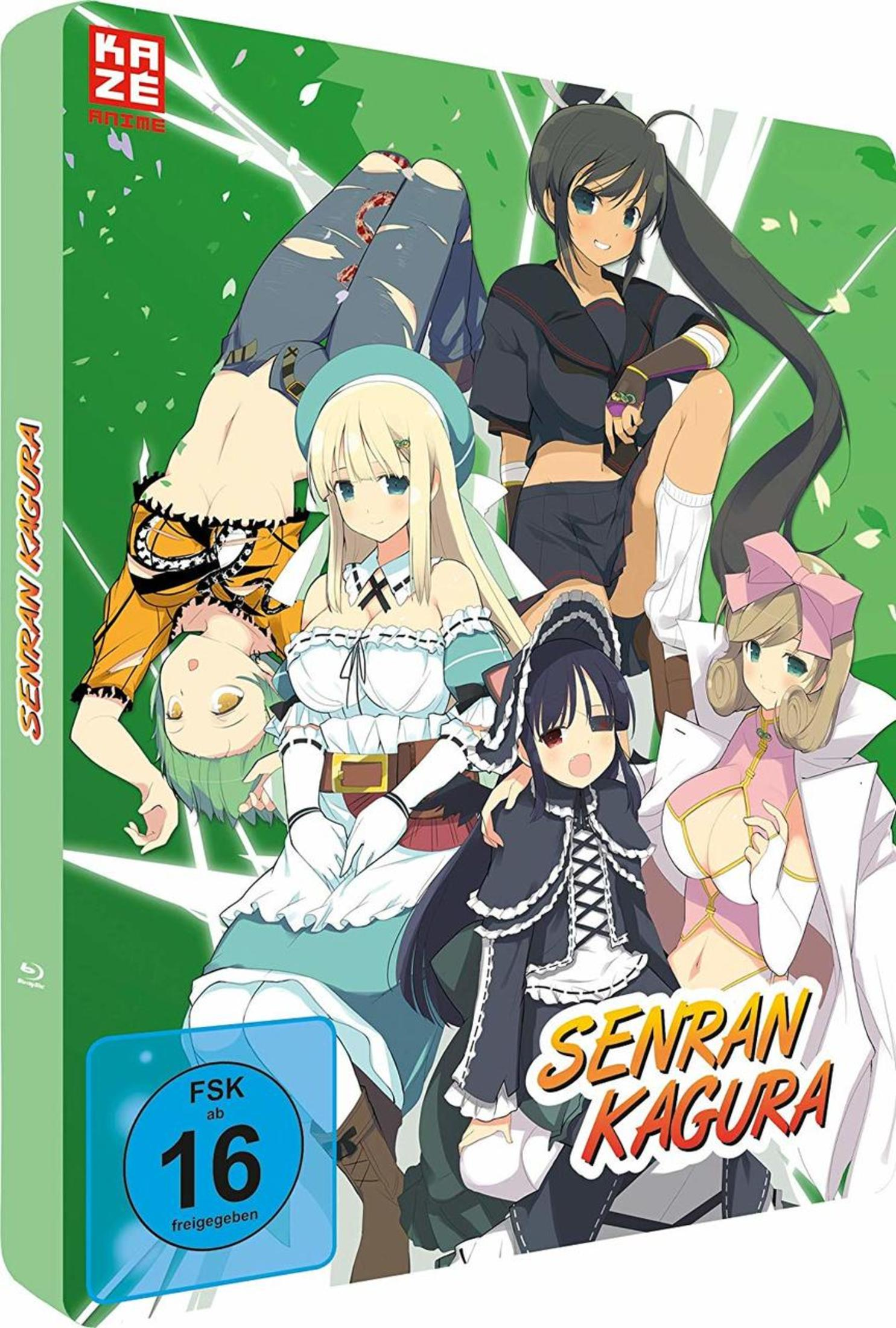 Anime-Cover mit fünf stilisierten Mädchen vor einem grünen Hintergrund mit Aufschriften.