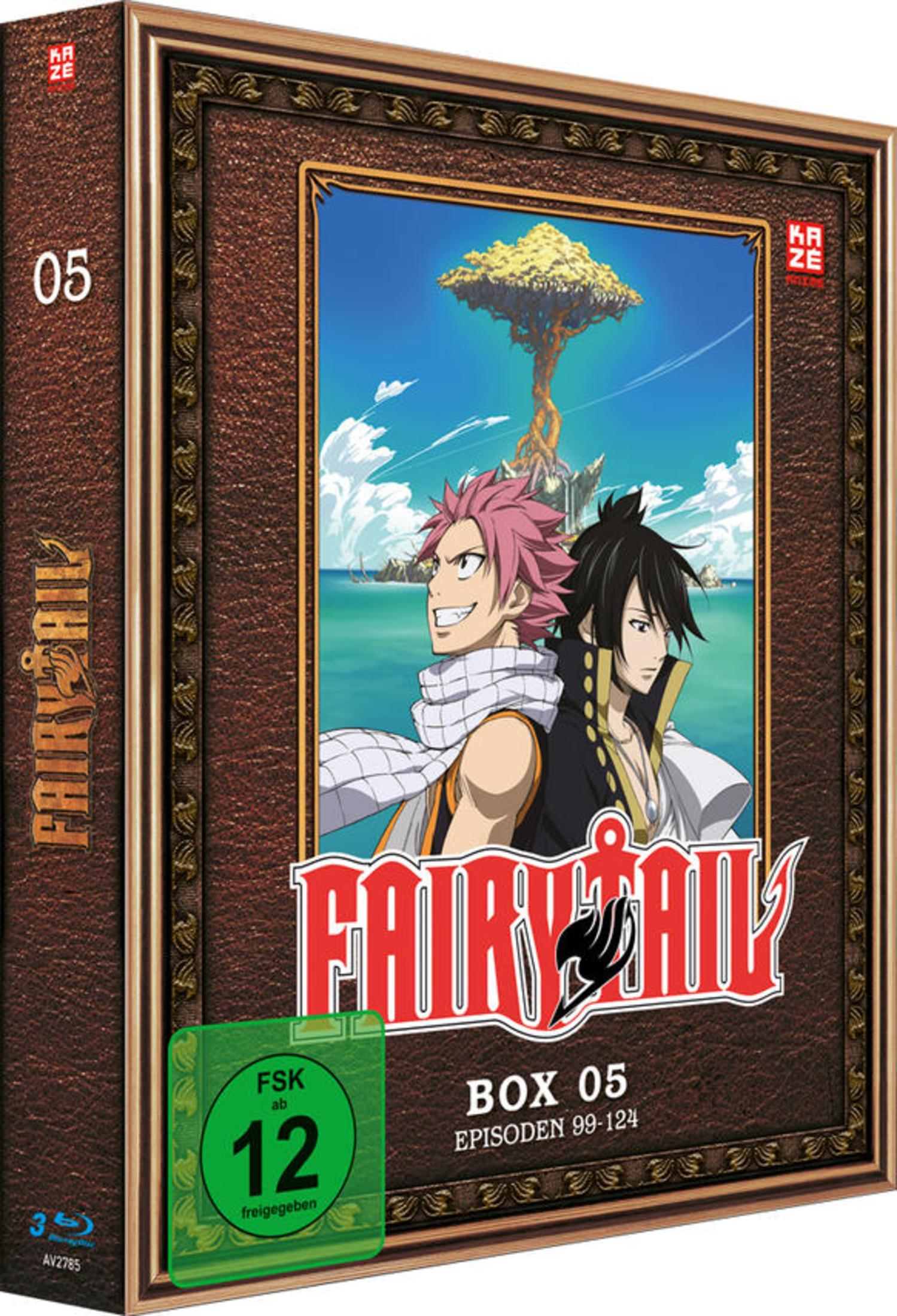 Fairy Tail Box 5 Blu-ray-Hülle mit Natsu und Zeref vor einem goldenen Baum und blauer See.