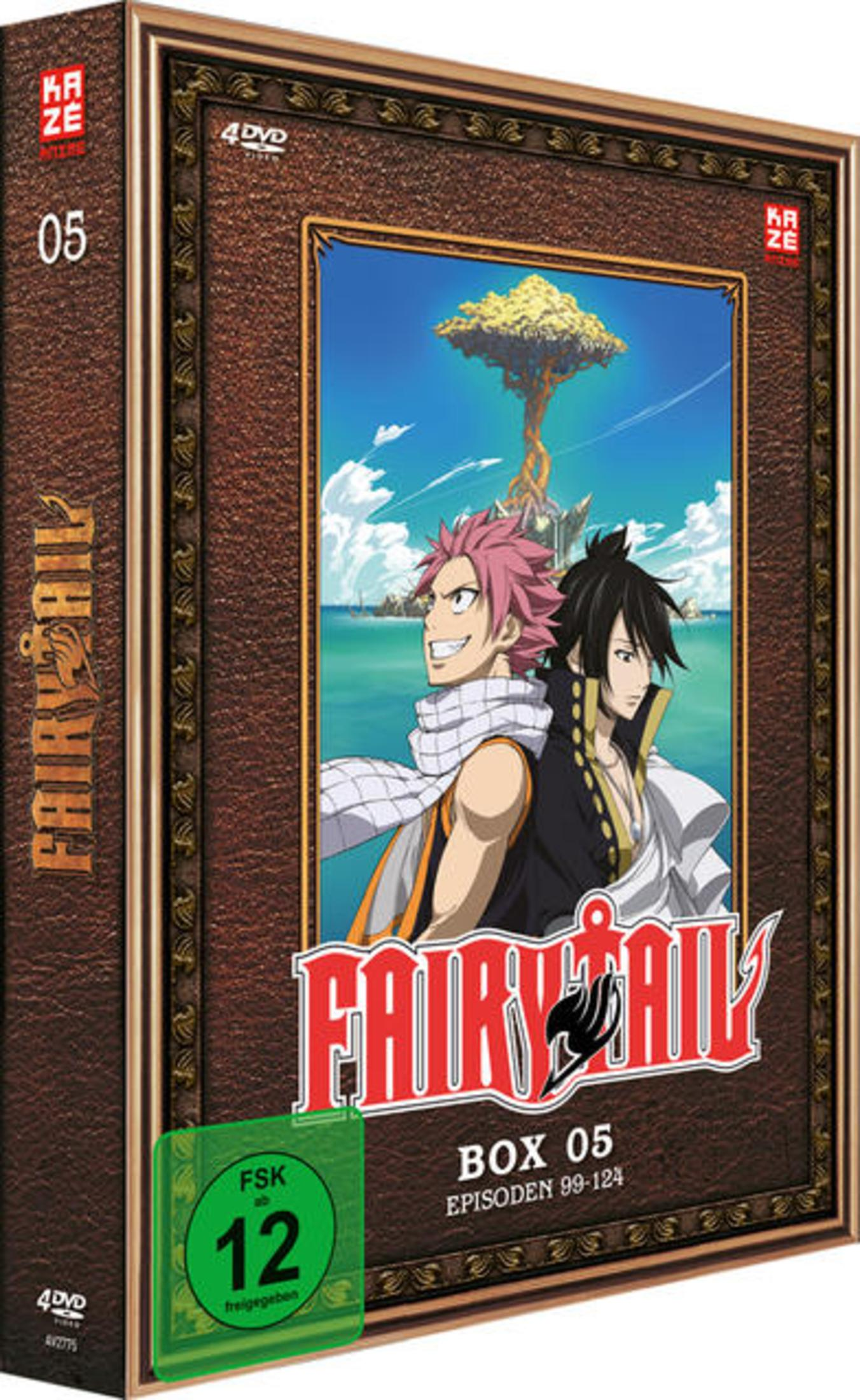 Fairy Tail Box 5 DVD-Hülle mit Natsu und Zeref vor einer Insellandschaft.