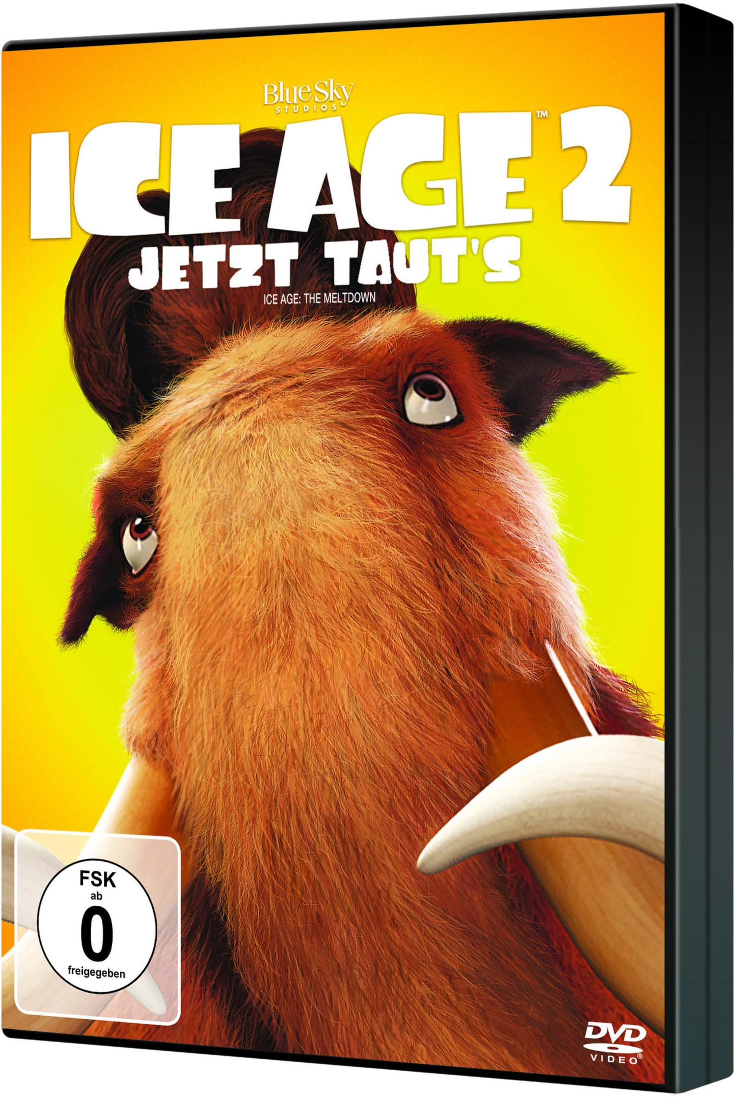 DVD-Hülle von Ice Age 2 mit Mammut Manny vor gelbem Hintergrund.