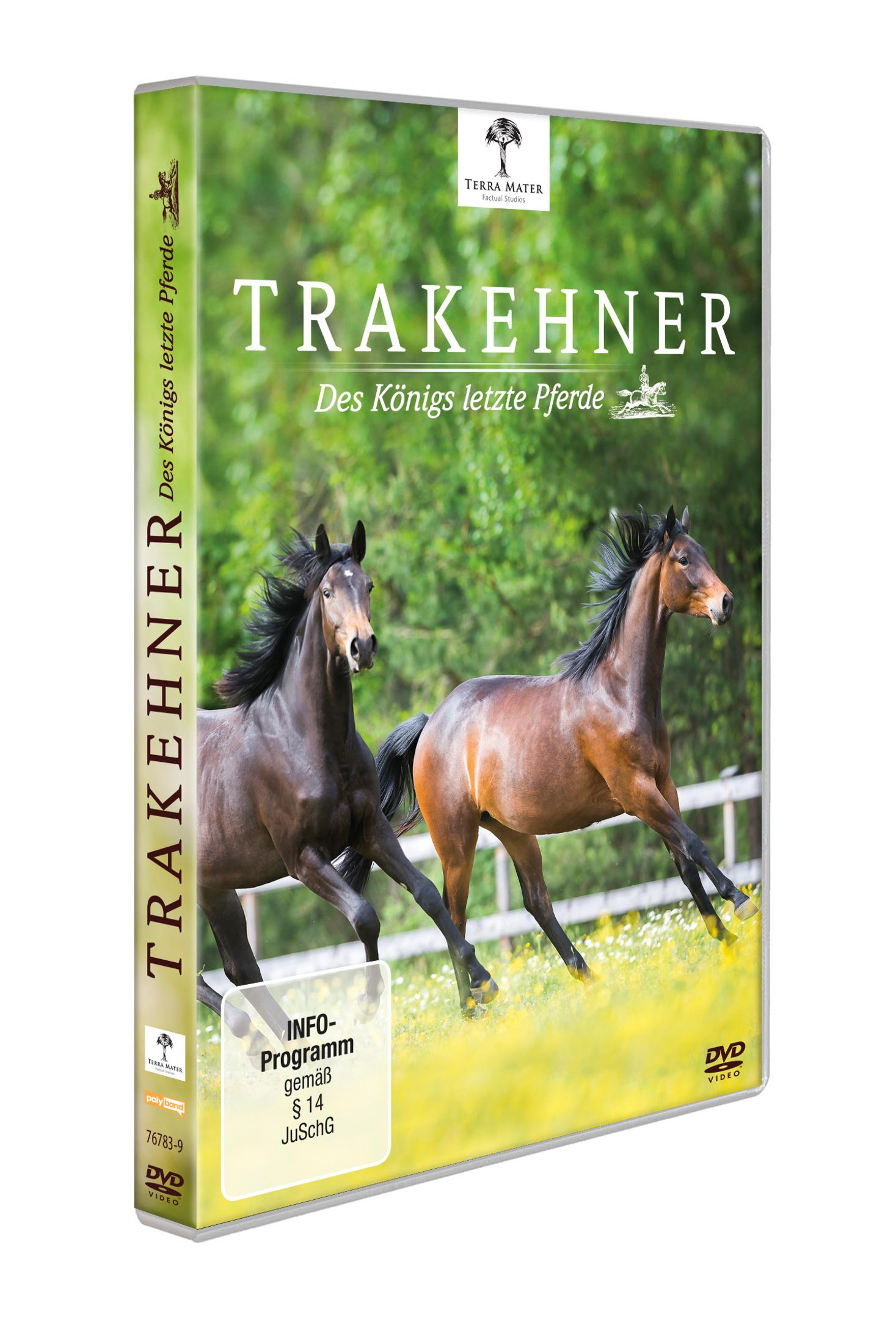 DVD-Hülle mit zwei braunen Pferden, die über eine grüne Wiese galoppieren.