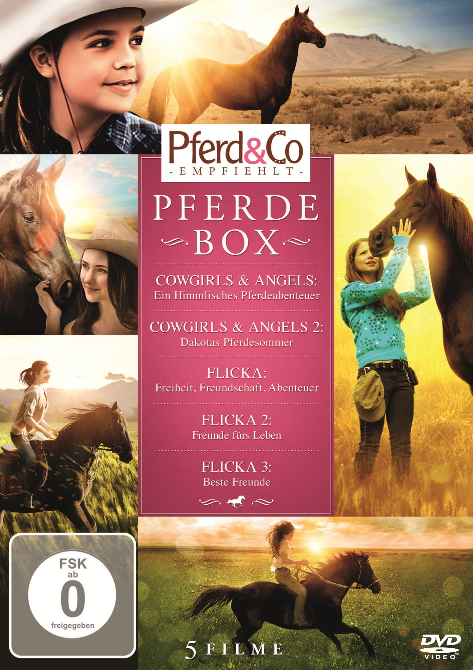 DVD-Cover mit mehreren Bildern von Mädchen und Pferden in einer Wiesenlandschaft bei Sonnenuntergang.