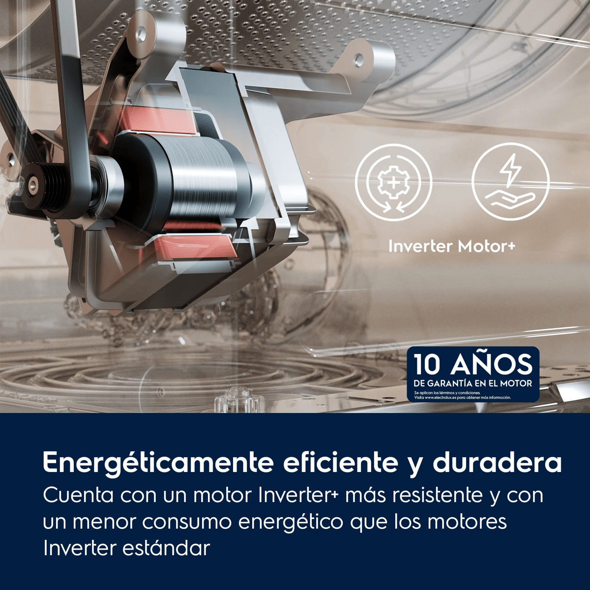 Vista de sección de un Inverter Motor+ duradero y energéticamente eficiente en una lavadora.
