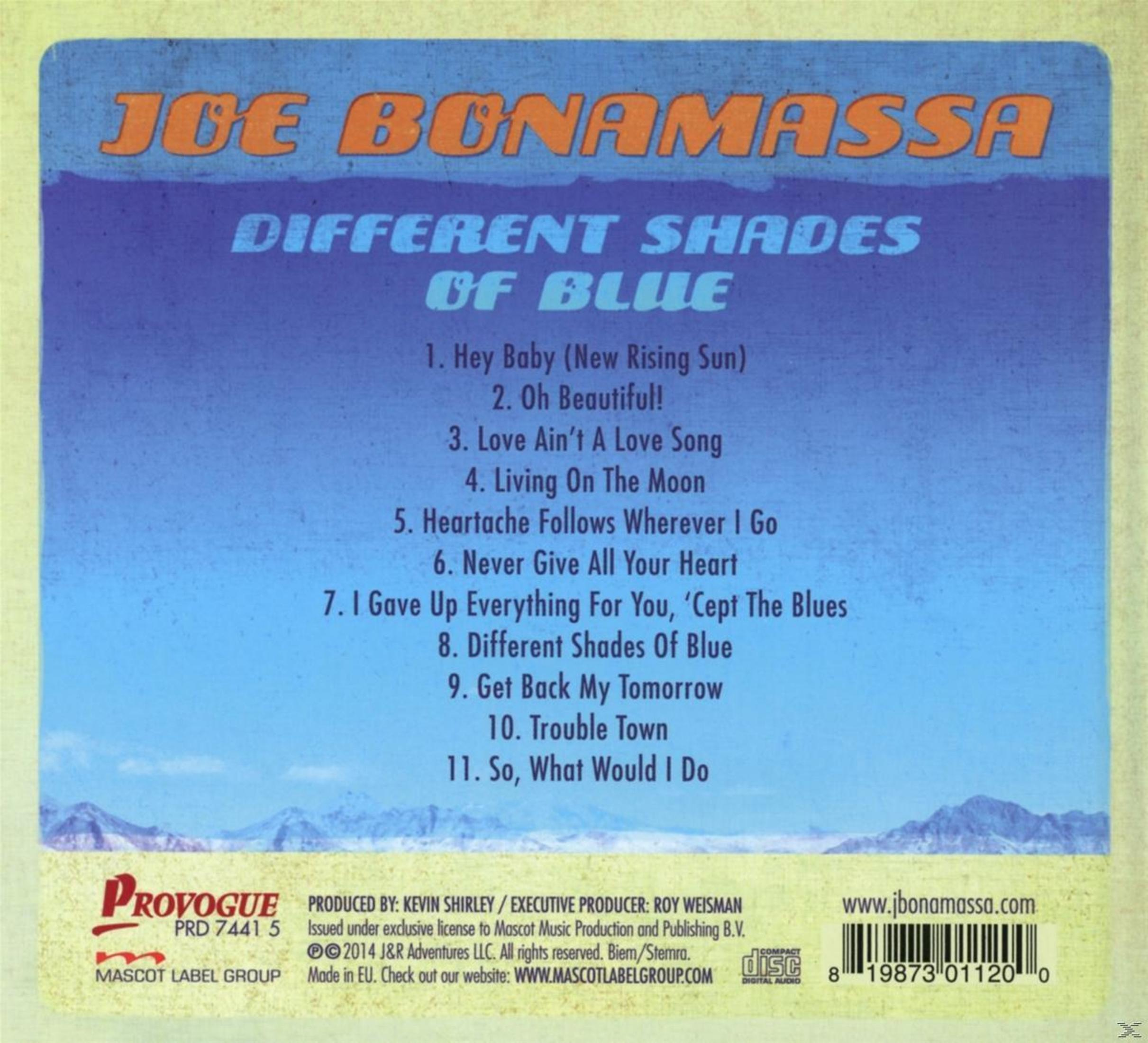 Rückseite des Joe Bonamassa Albums Different Shades Of Blue mit blauer Berglandschaft und roter Schrift.