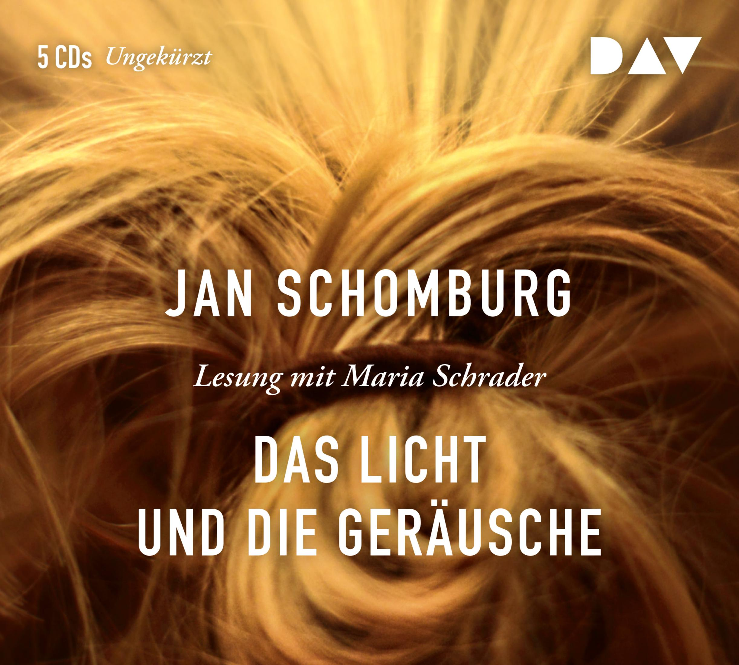 Buchcover mit verwirrten blonden Haaren und weißem Text mit Jan Schomburg und Das Licht und die Geräusche.
