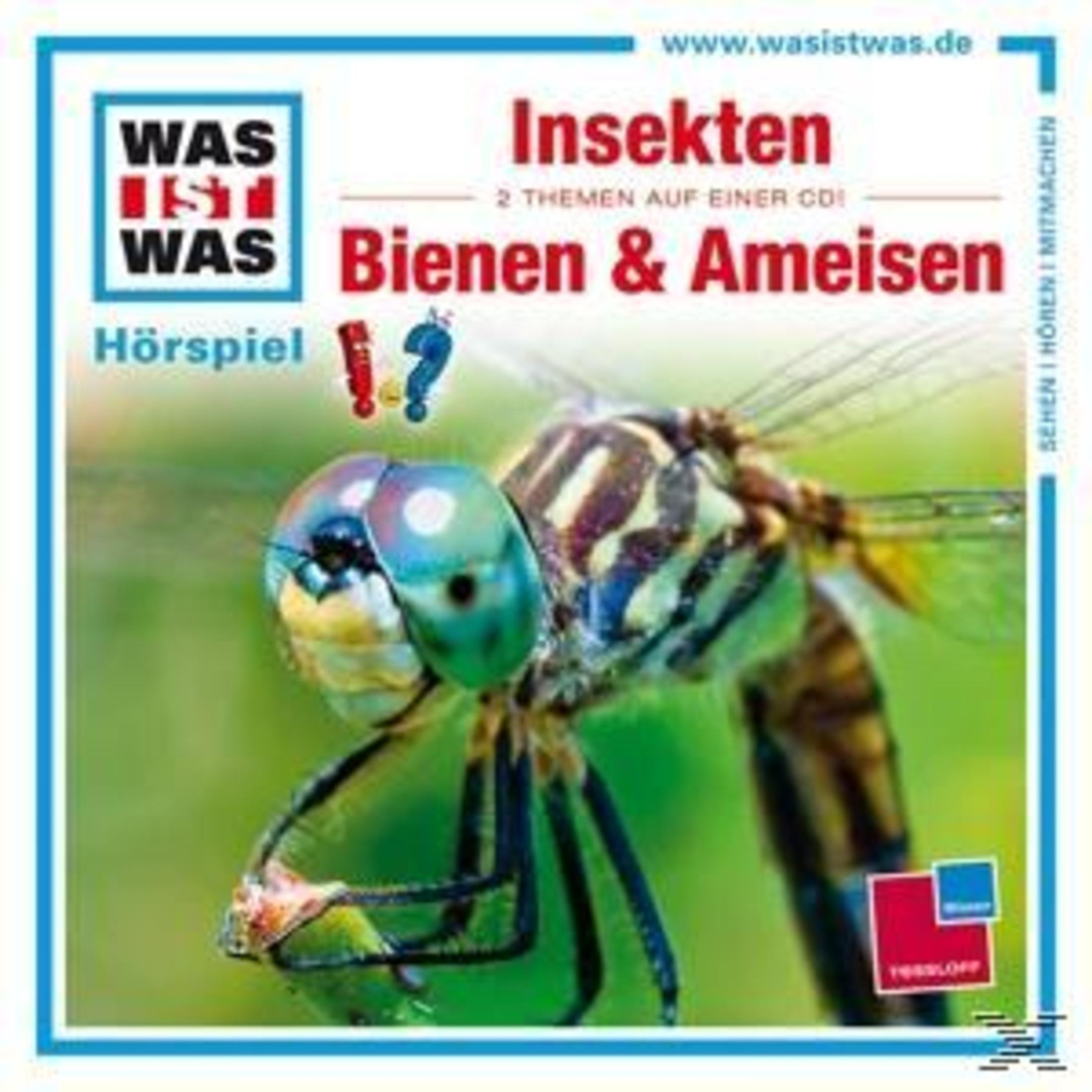 Nahaufnahme einer Libelle auf grünem Hintergrund, mit roter und blauer Schrift oben.