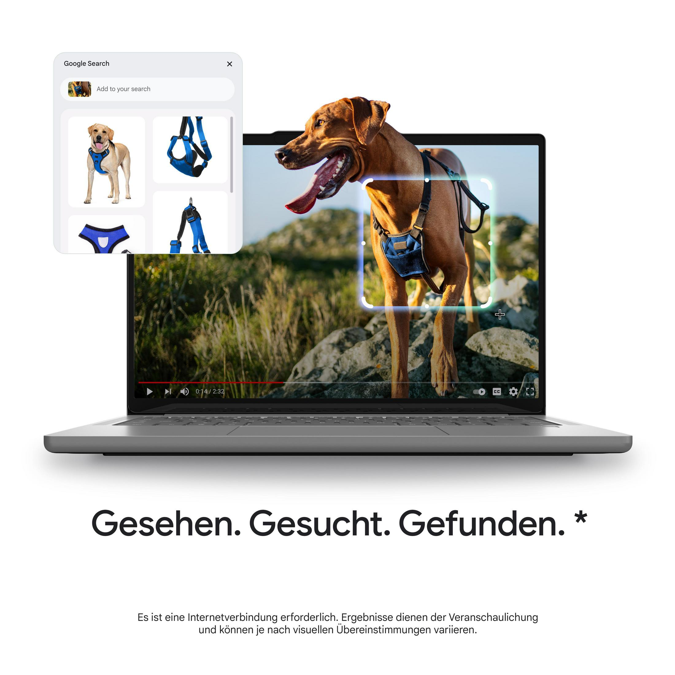 Ein Laptop zeigt einen Hund in einem Video, während ein Suchfenster ähnliche Hundegeschirre vorschlägt.