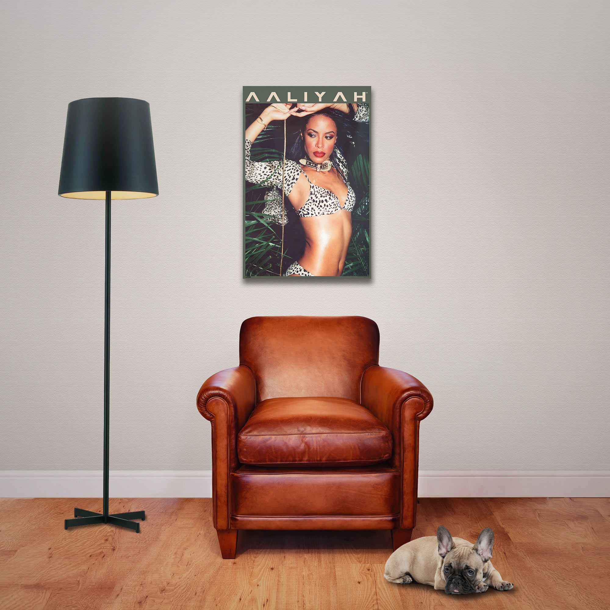 Ein brauner Ledersessel steht vor einer Wand mit einem Aaliyah-Poster. Links eine schwarze Lampe, unten ein Hund.