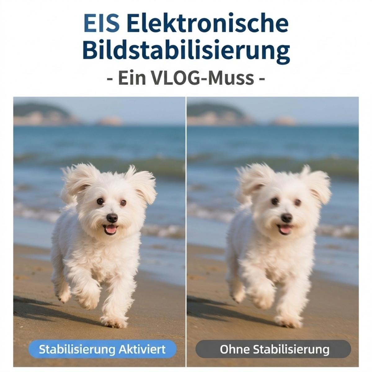 Vergleich zweier Bilder eines Hundes am Strand, zeigt den Effekt von elektronischer Bildstabilisierung.