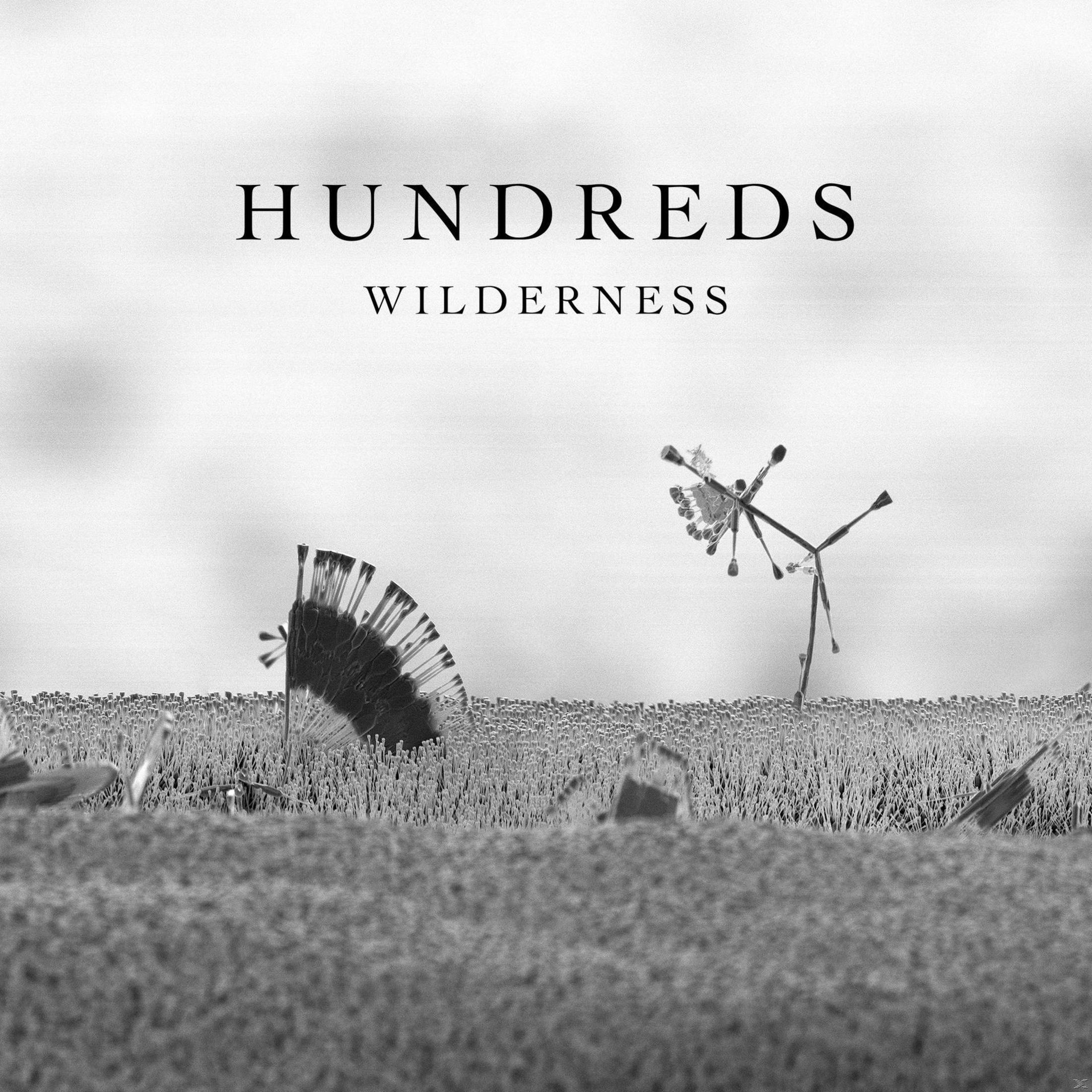 Schwarzweiß-Albumcover mit dem Text 'HUNDREDS WILDERNESS' über einer surreale Landschaft aus Streichhölzern.