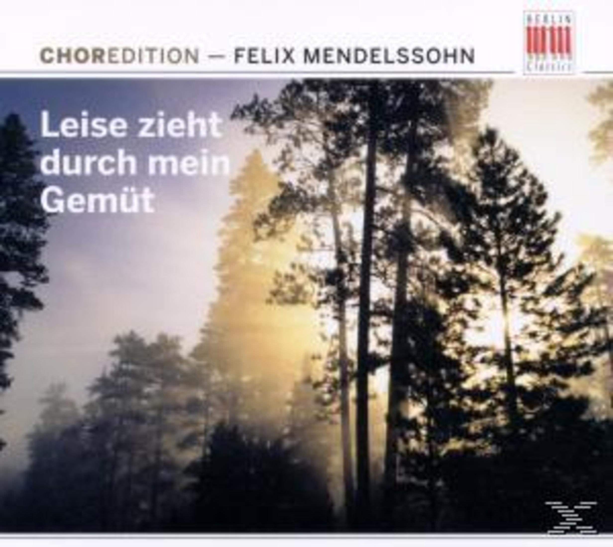 Sonnenlicht fällt durch einen nebligen, dichten Wald mit hohen Kiefern, begleitet von Text.