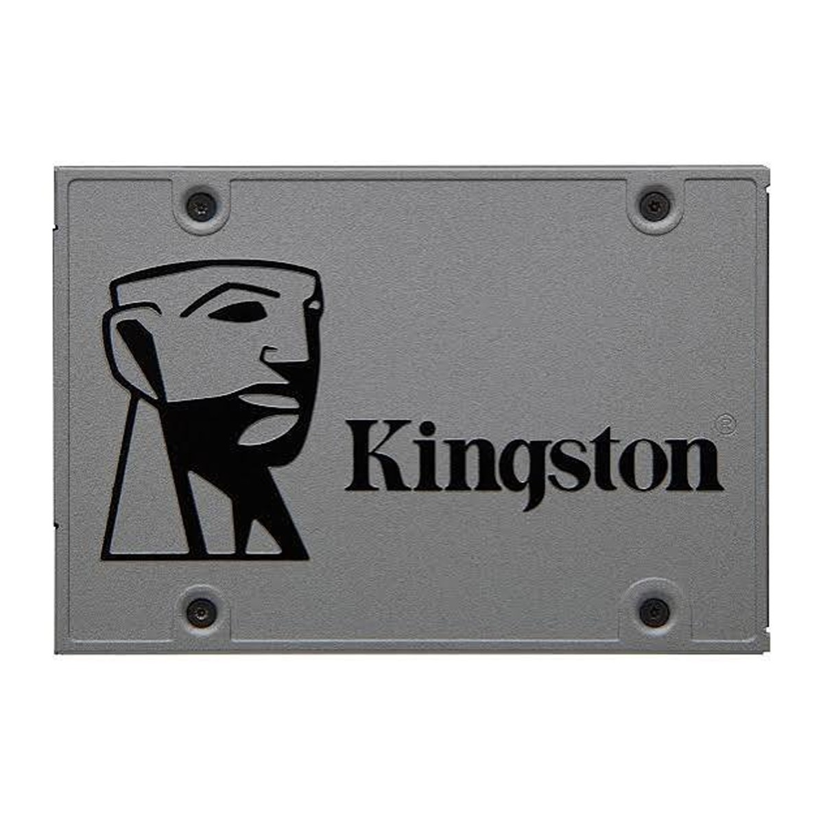 Un SSD Kingston grigio con logo Rex e quattro viti.