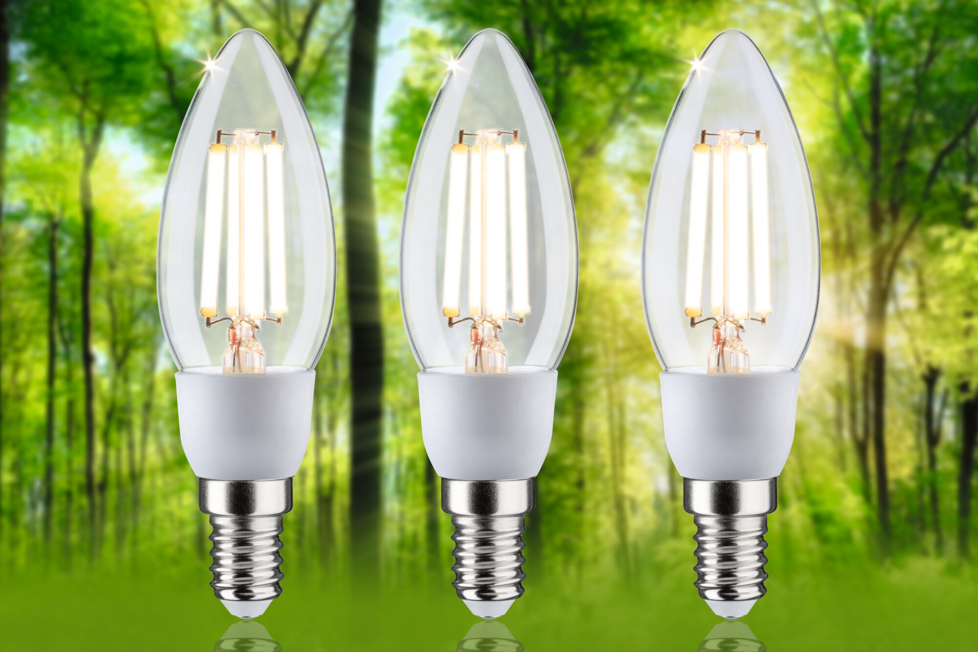 Drei LED-Kerzenlampen mit glühendem Filament vor einem grünen, verschwommenen Waldhintergrund.
