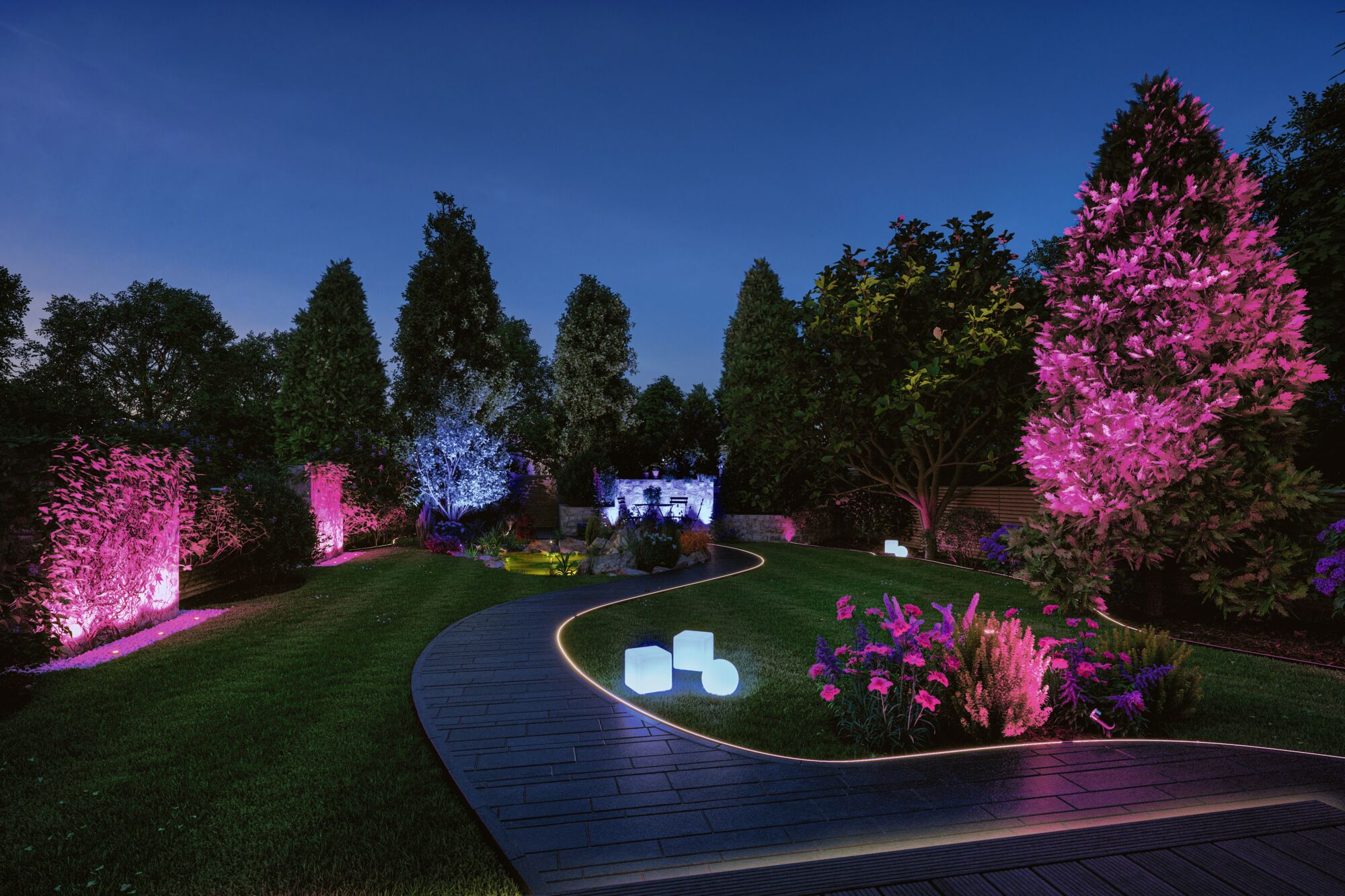 Beleuchteter Garten bei Nacht mit geschwungenem Weg, pinken Bäumen und modernen Leuchtwürfeln auf dem Rasen.
