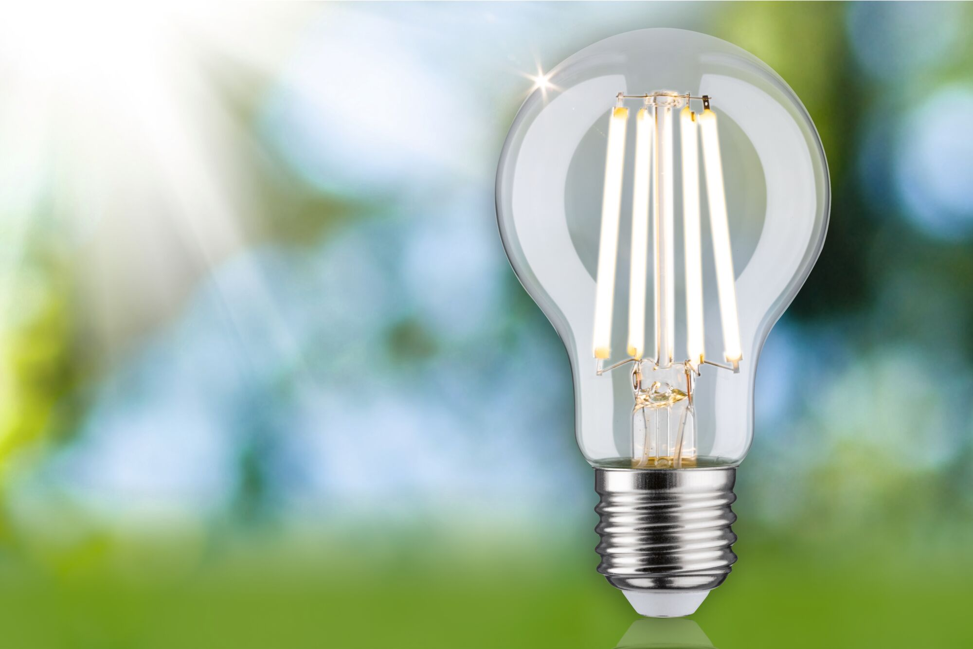 Eine klare LED-Filament-Glühbirne leuchtet vor einem verschwommenen grün-blauen Naturhintergrund.