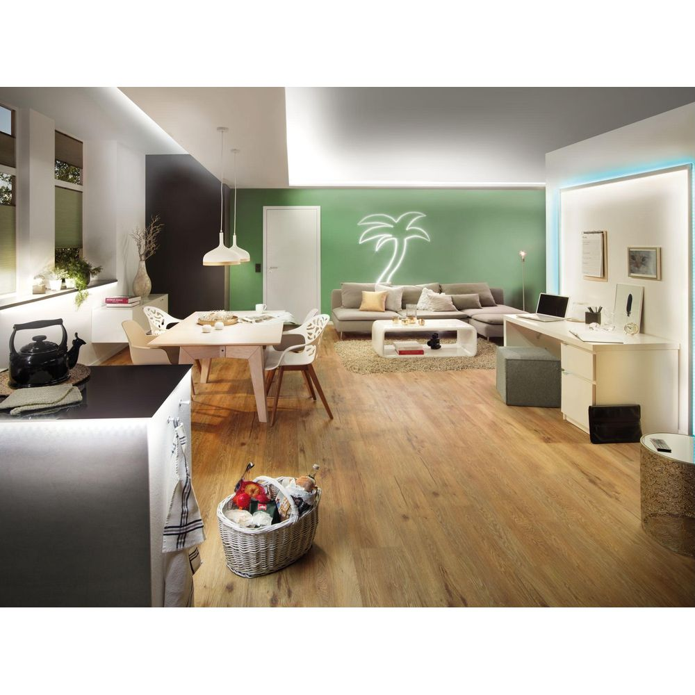 Ein modernes offenes Wohnzimmer mit grüner Akzentwand, Holzböden, Essbereich, Sofa und weißem Schreibtisch.