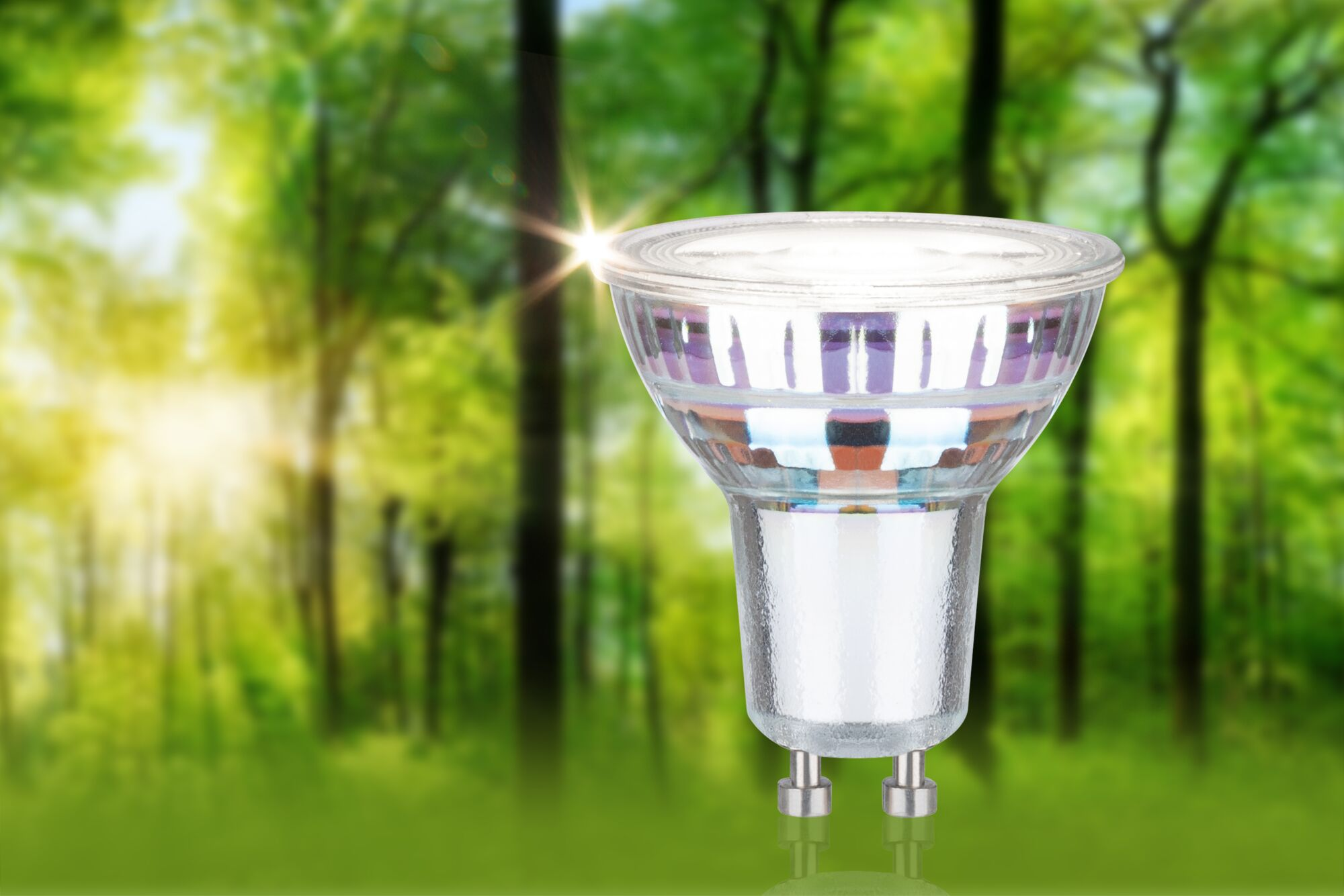 Eine LED-Lampe steht aufrecht vor einem verschwommenen grünen Waldhintergrund.