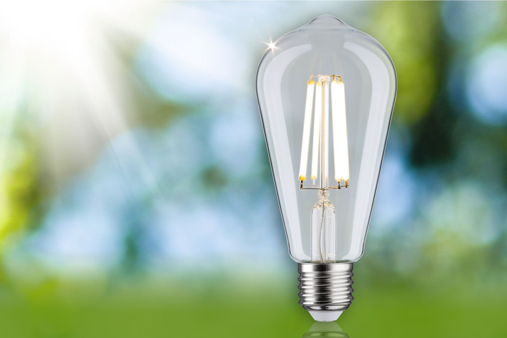 Eine eingeschaltete Edison-Glühbirne vor verschwommenem grünem Hintergrund mit Sonnenlicht.