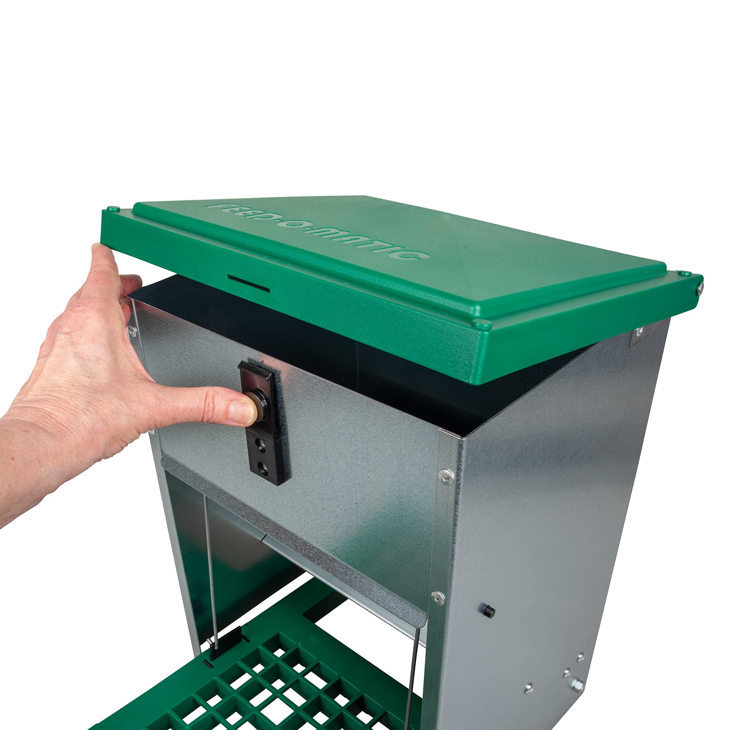 Una mano apre il coperchio verde di una mangiatoia per galline in metallo su sfondo bianco.