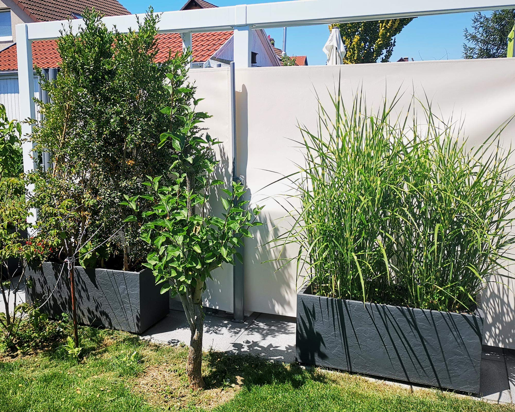 Des plantes vertes dans des bacs gris sur une terrasse devant un écran de confidentialité blanc.