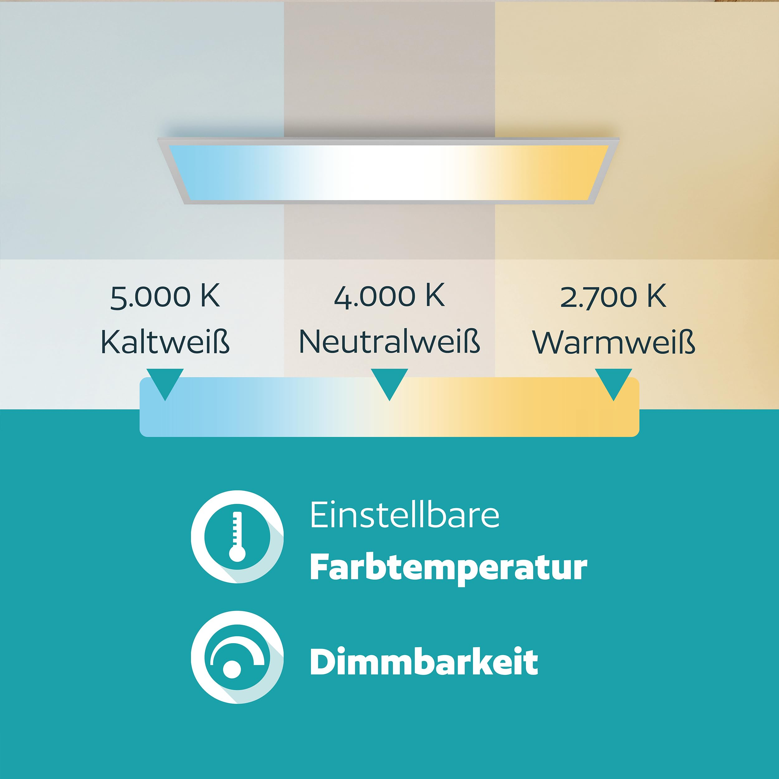 Un grafico mostra temperature di colore regolabili da 5000K a 2700K e la dimmerabilità di una luce.