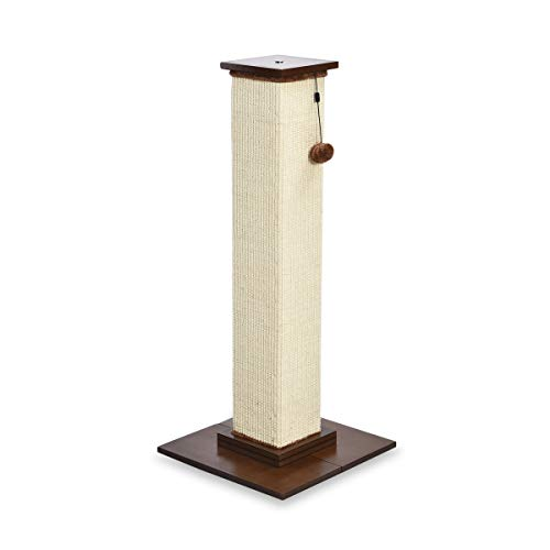 AMAZON BASICS ZJS-13281-4 Arbre à chat