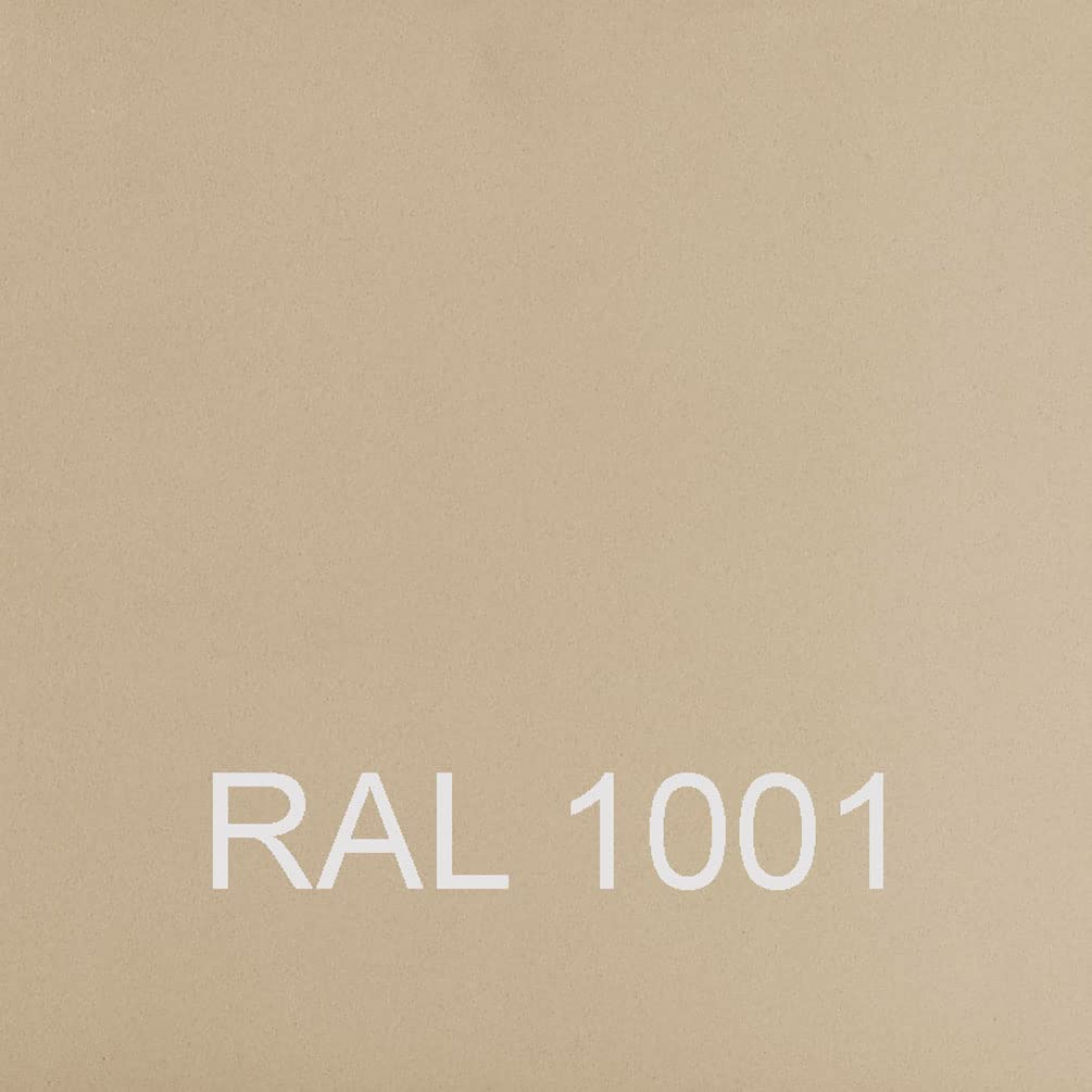 Einfarbig beige Oberfläche mit dem weißen Text RAL 1001 unten.