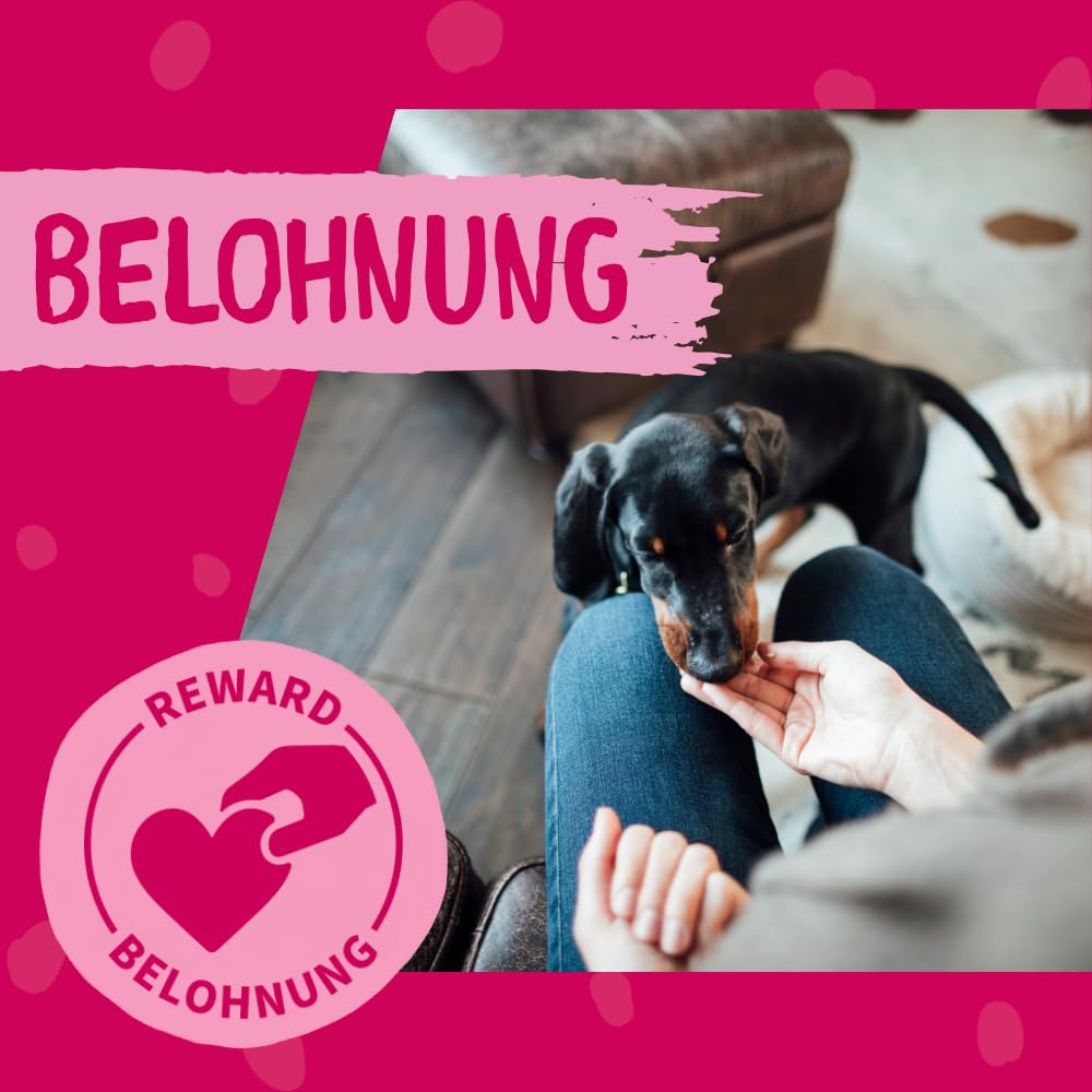 Ein schwarzer Welpe frisst aus der Hand einer Person mit dem Text Belohnung und einem Belohnungslogo.