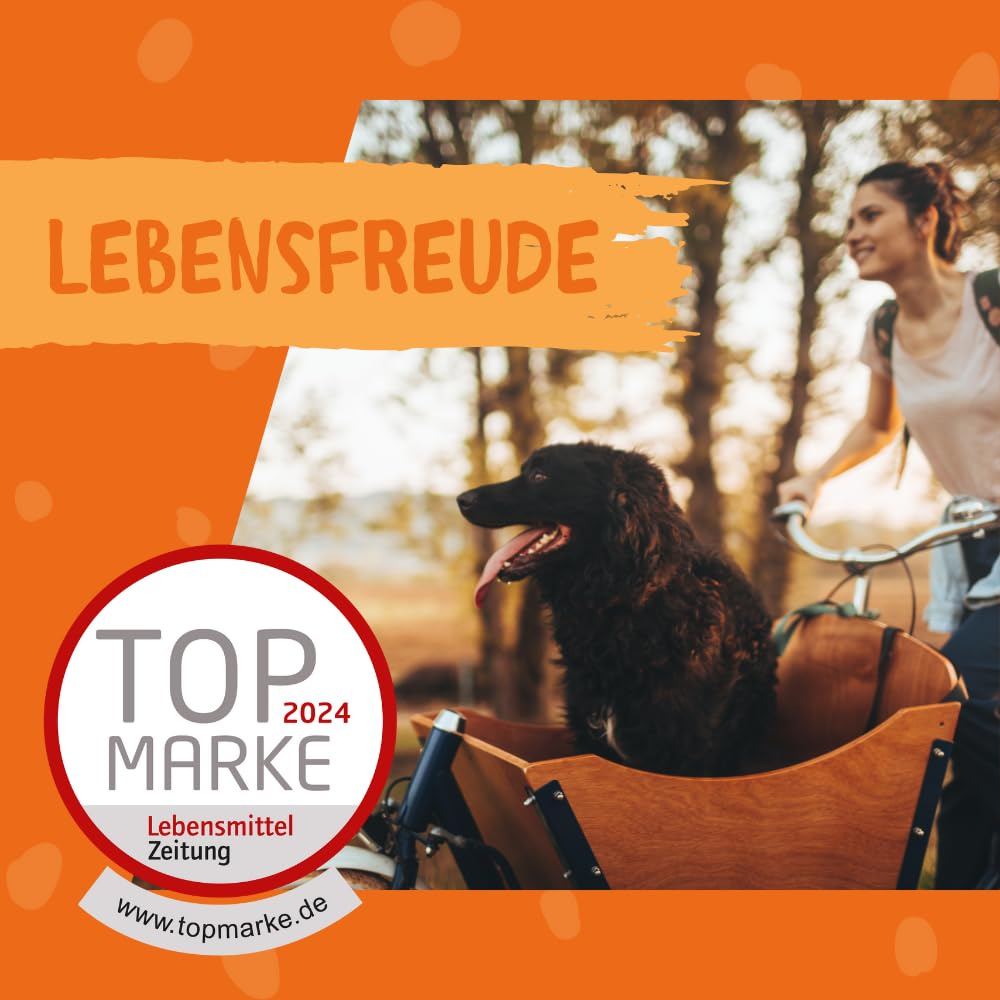 Eine Frau radelt mit einem schwarzen Hund in der Transportbox.