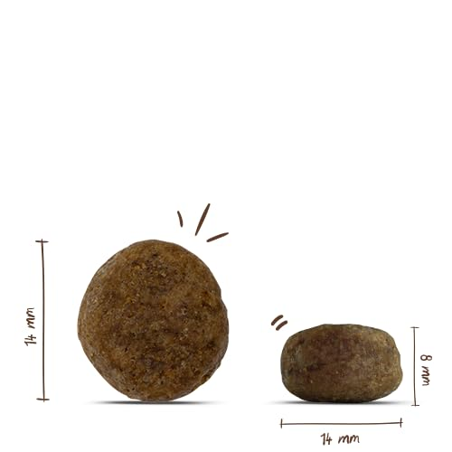 Zwei braune Tiernahrungsbrocken mit den Maßen 14 mm mal 8 mm vor einem schlichten weißen Hintergrund.