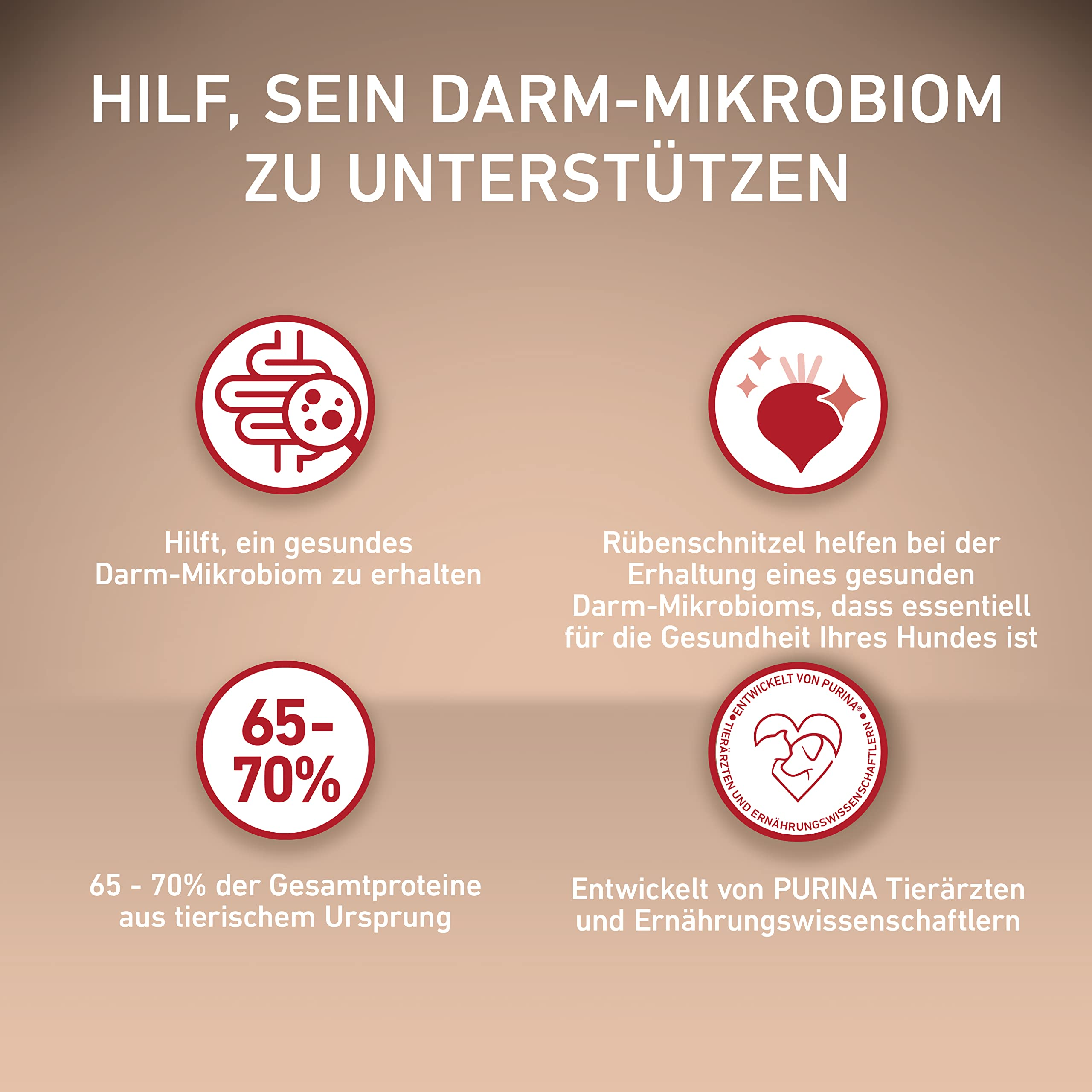 Infografik zeigt vier Vorteile von Hundefutter zur Unterstützung des Darm-Mikrobioms auf beigem Hintergrund.