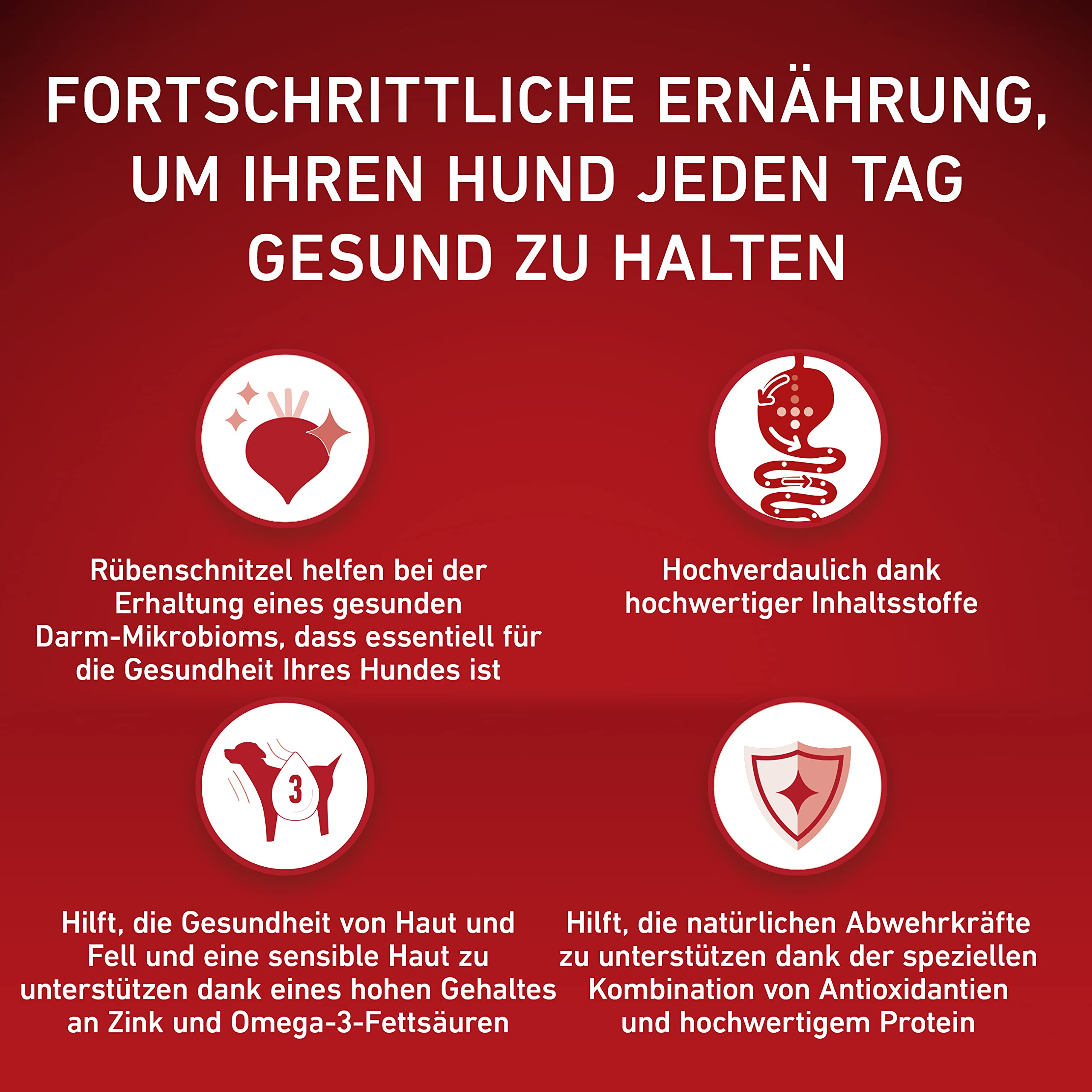 Rote Grafik mit vier Icons und Texten zur gesunden Hundeernährung.