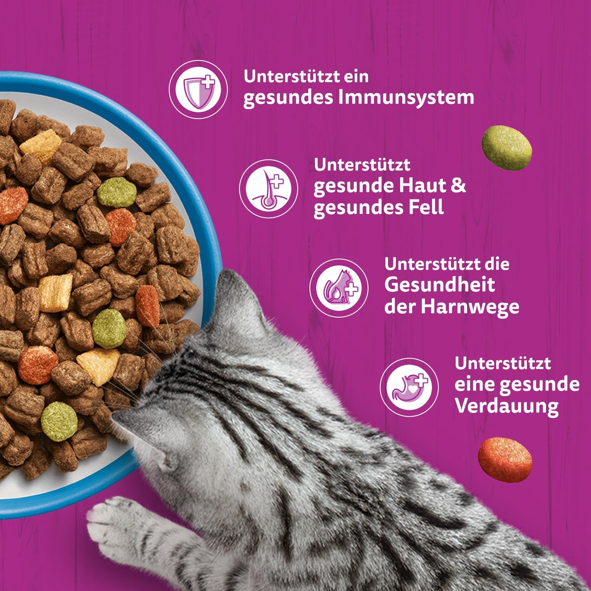 Eine graue Katze frisst Futter aus einer blauen Schüssel vor rosa Hintergrund mit gesundheitlichen Hinweisen.
