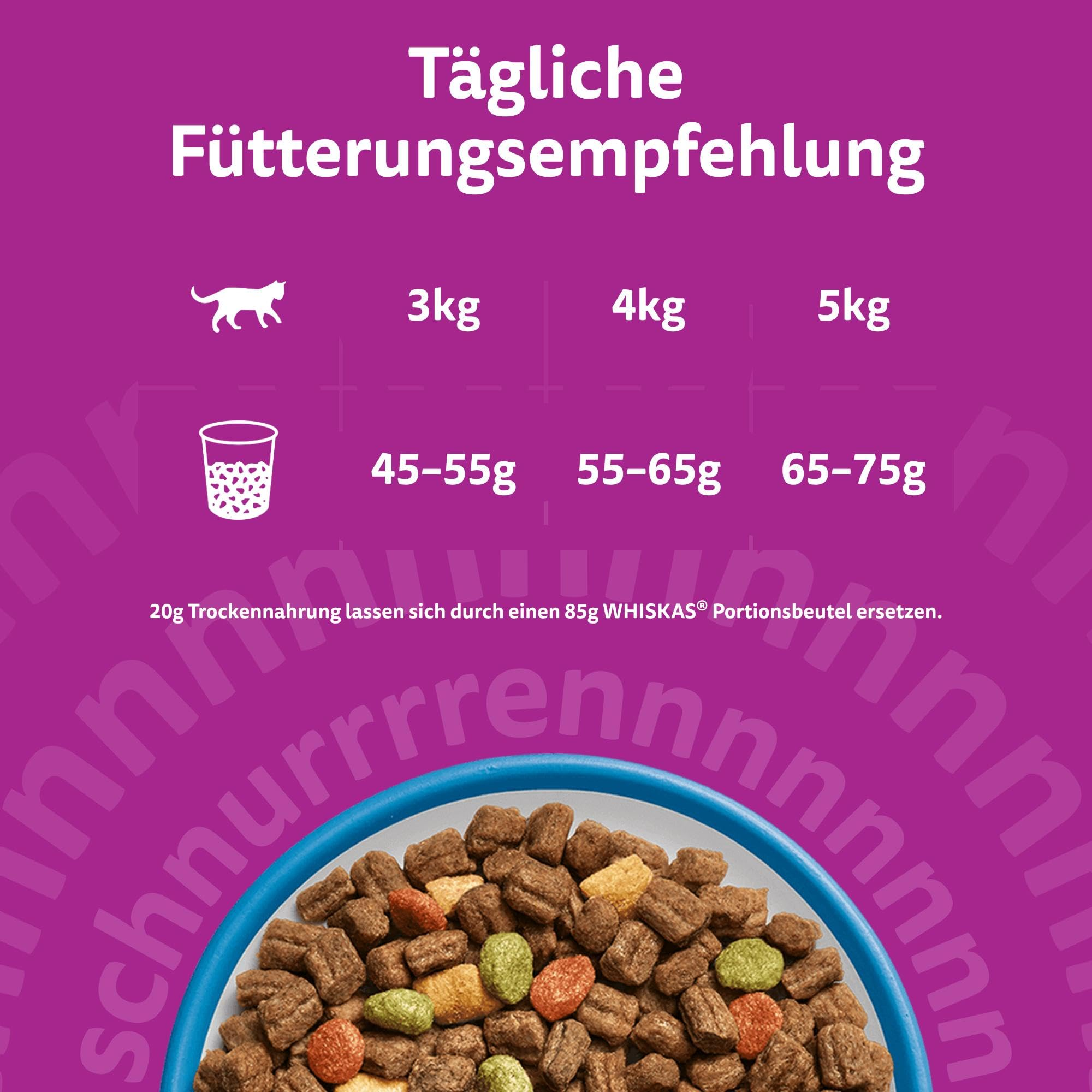 Katzen-Trockenfutter-Fütterungsempfehlung nach Gewicht auf lila Hintergrund über einer Futterschüssel.