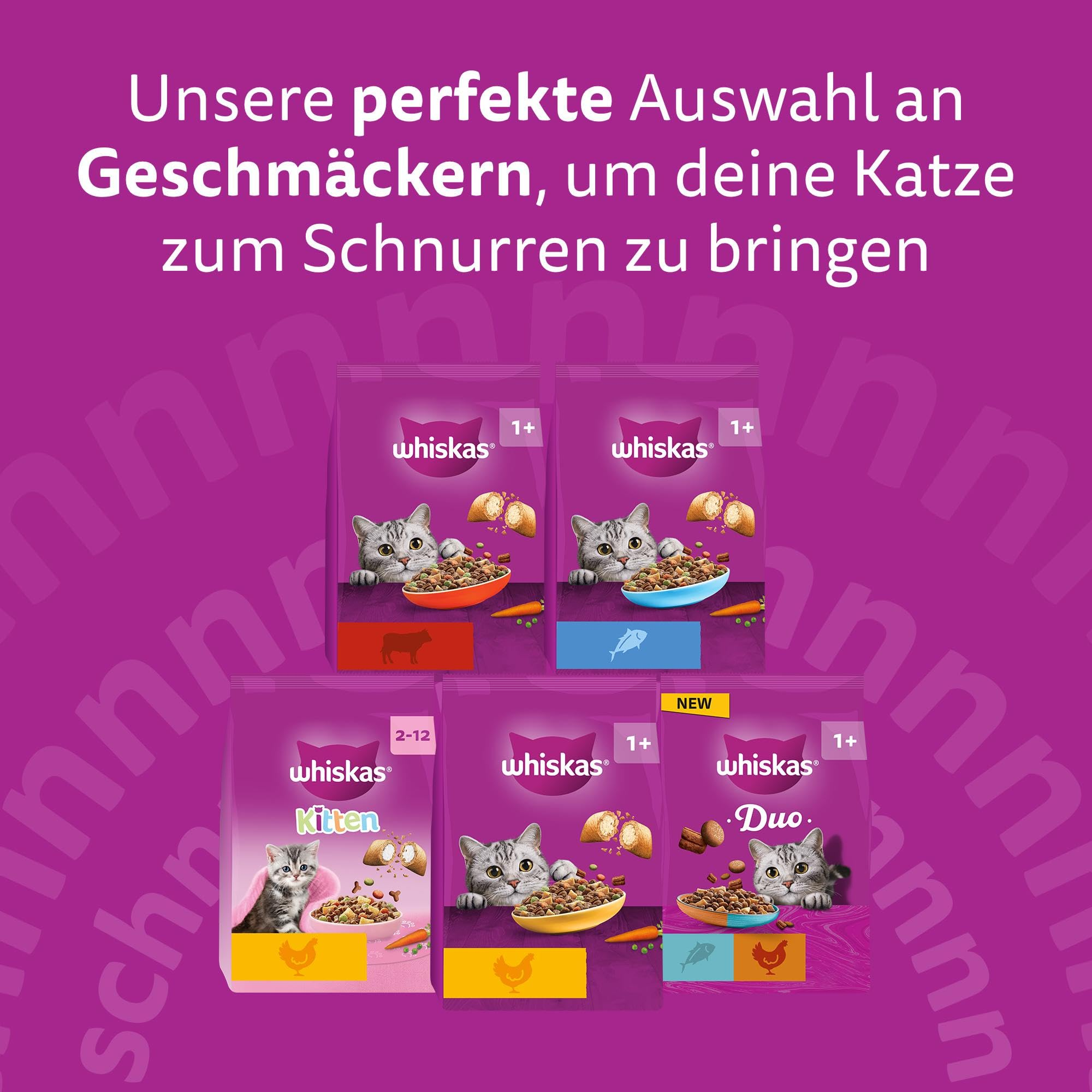 Werbung für Whiskas-Katzenfutter auf lila Hintergrund mit fünf verschiedenen Beuteln und Katzenbildern.
