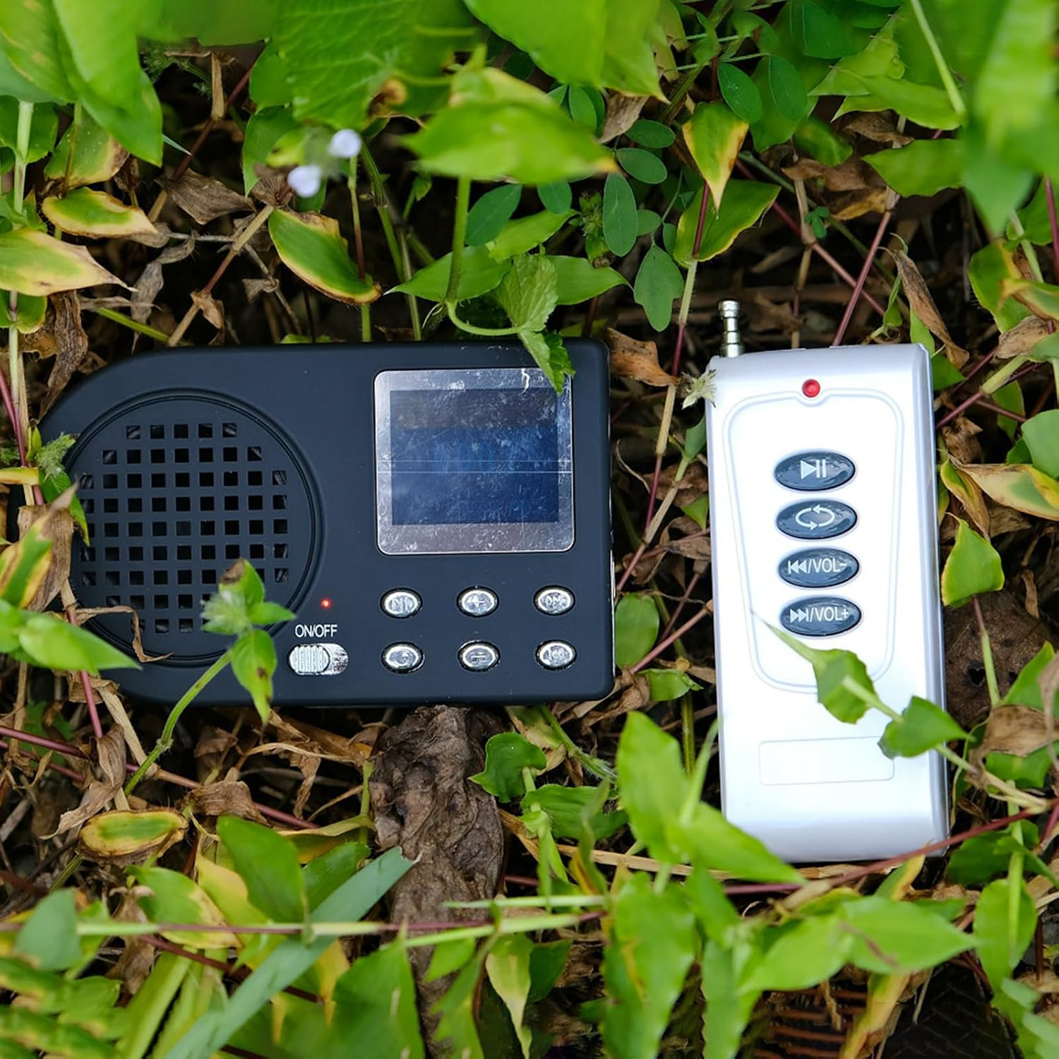 Ein schwarzes Radio und eine weiße Fernbedienung liegen zwischen grünen Blättern und Gras am Boden.
