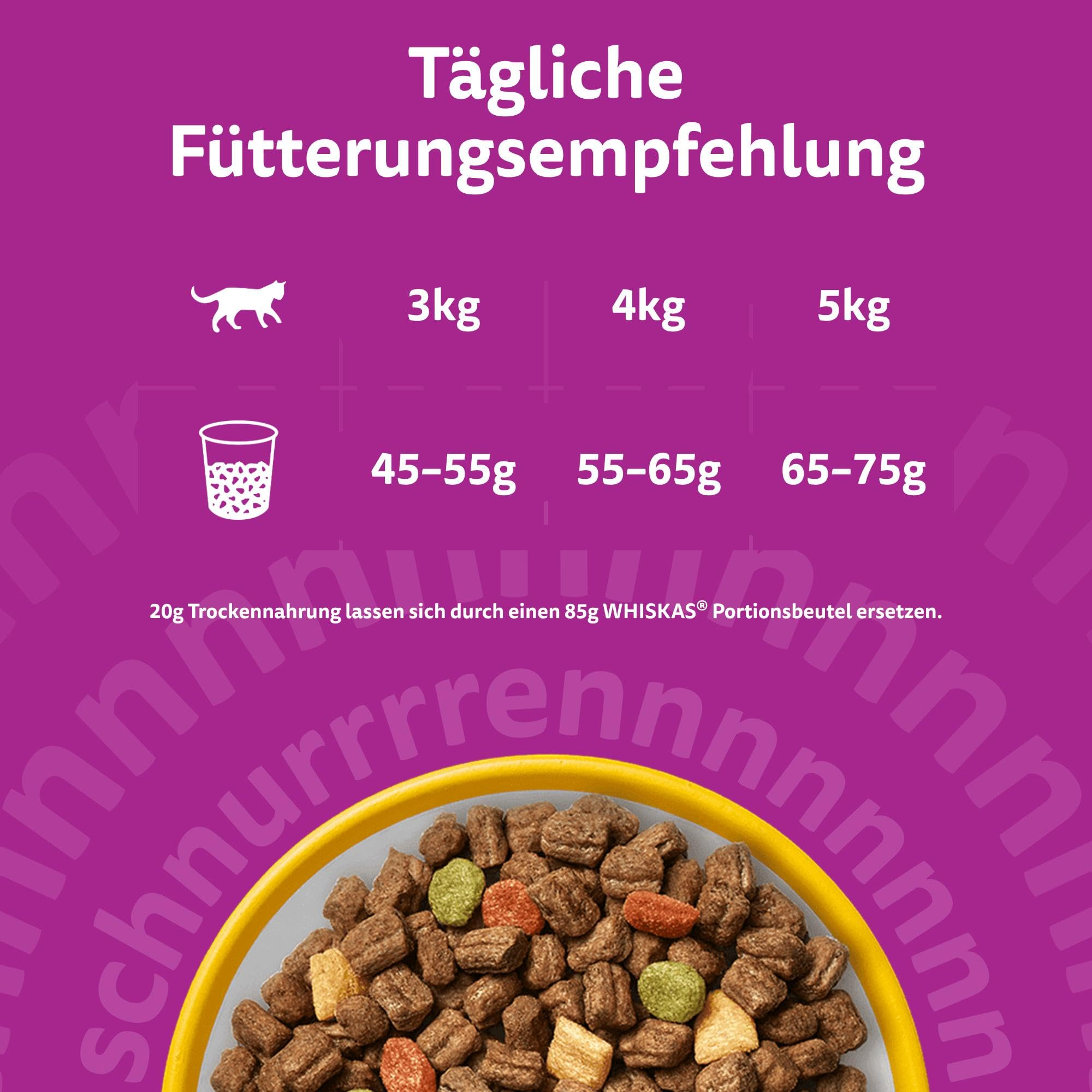 Tägliche Fütterungsempfehlung für Katzen mit Trockenfutter in einer gelben Schüssel auf lila Hintergrund.