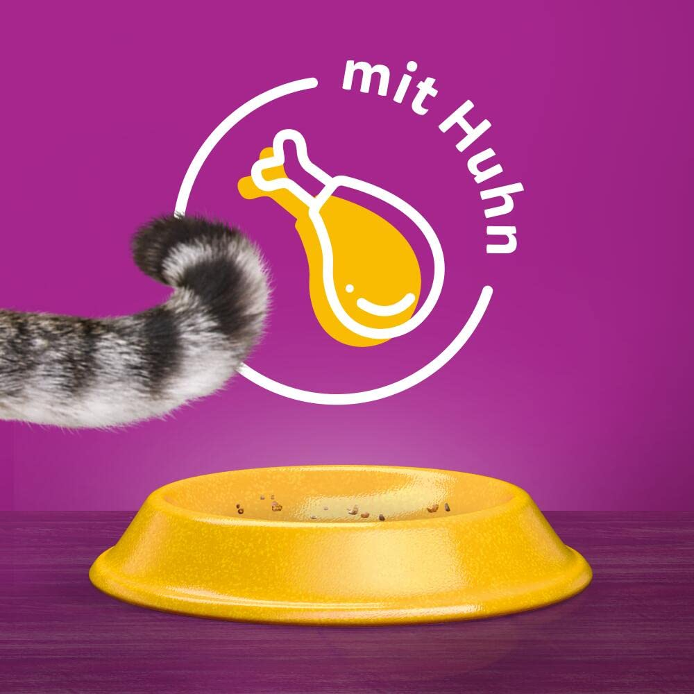 Ein gelber Napf vor einem violetten Hintergrund mit einer Katzenkrümmung und der Aufschrift mit Huhn.