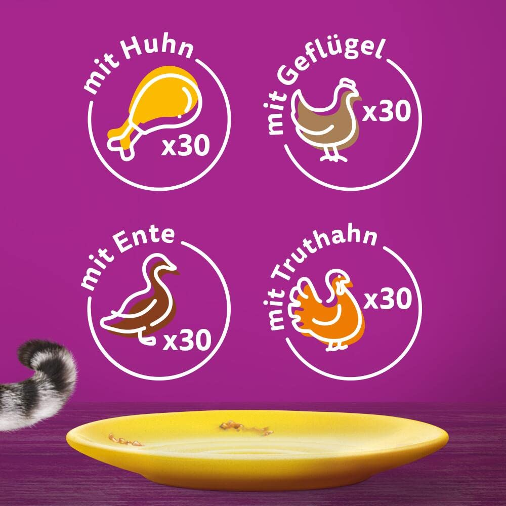 Lila Hintergrund mit vier runden Icons für Tiernahrung und einem gelben Teller.