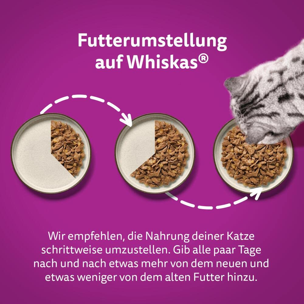 Anleitung zur schrittweisen Futterumstellung auf Whiskas mit drei Futterschüsseln und einer Katze vor lila Hintergrund.