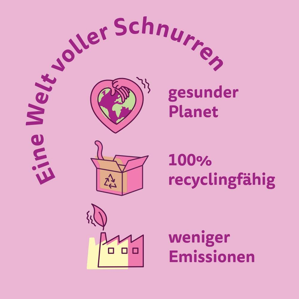 Rosa Grafik mit Icons für gesunden Planeten, Recycling und weniger Emissionen.
