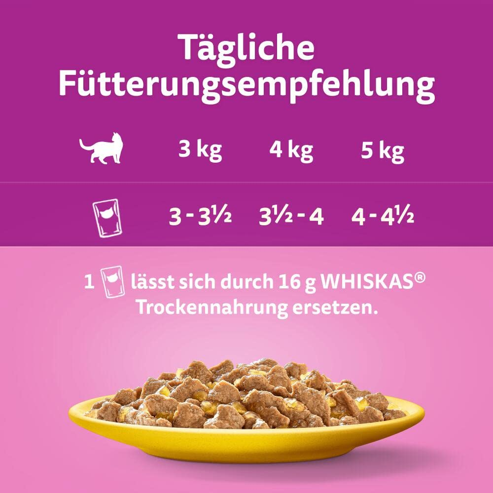 Tägliche Fütterungsempfehlung für Katzen mit Trockenfutter-Ersetzung und Futterportionen auf pinkem Hintergrund.