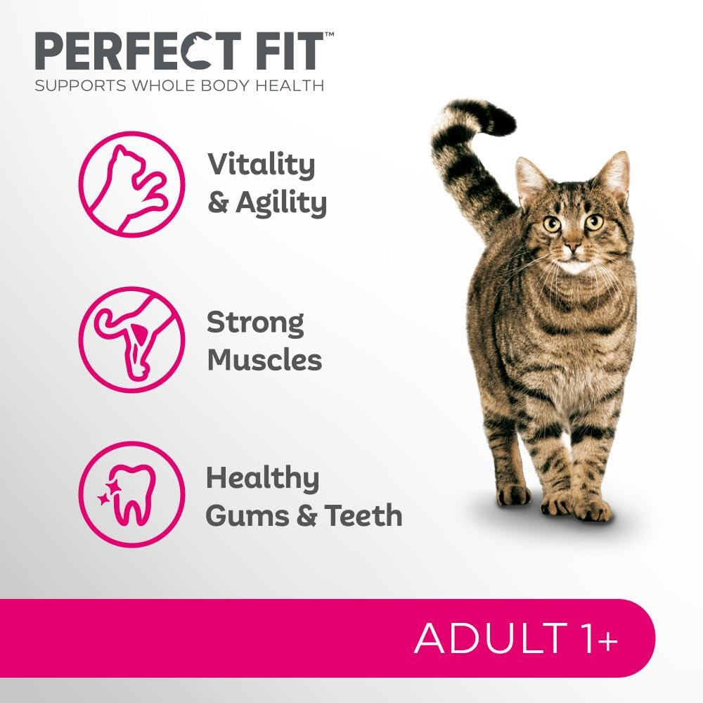 Perfekt Fit Katzenfutter Werbung mit getigertem Kater und Gesundheitssymbolen auf weißem Hintergrund.