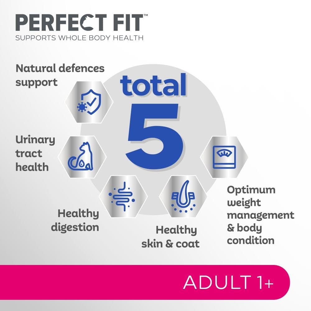 Perfekt Fit Infografik zu fünf Gesundheitlichen Vorteilen für adulte Katzen.
