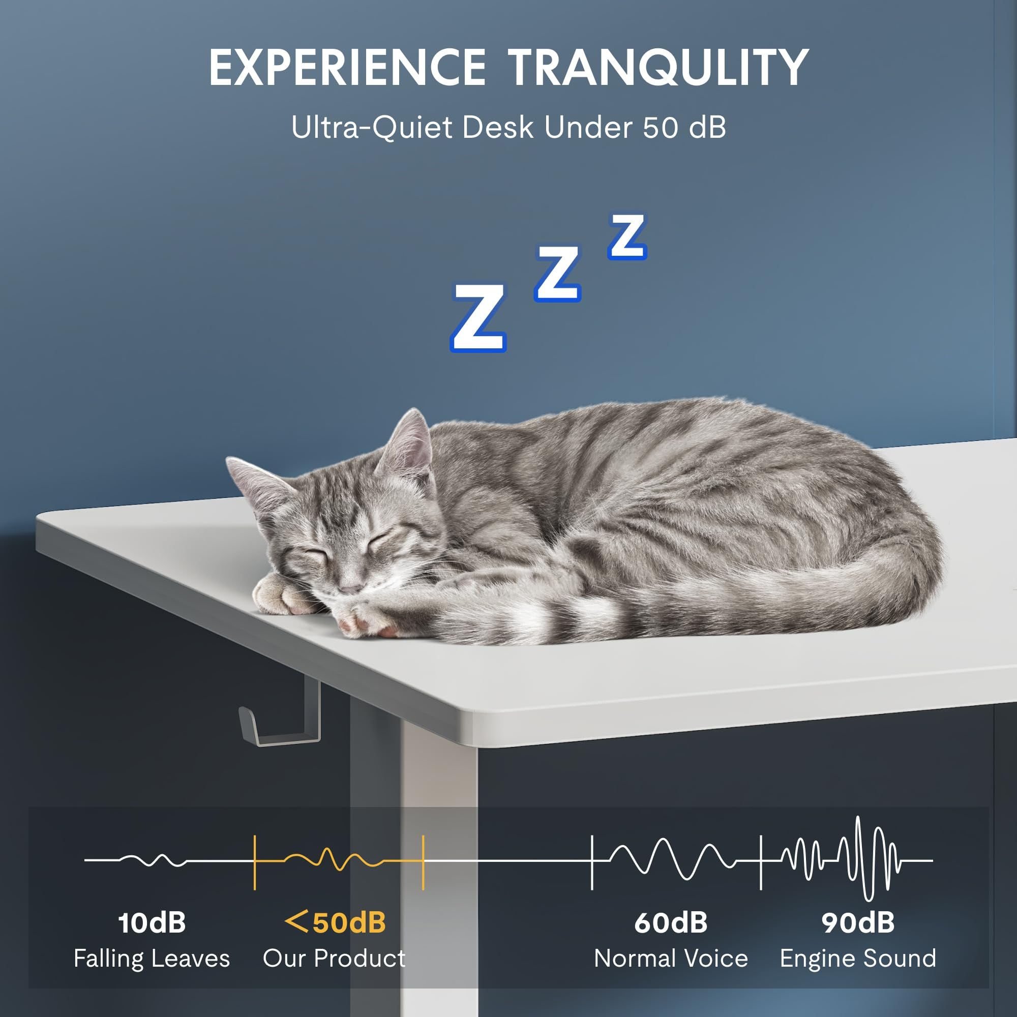 Eine graue getigerte Katze schläft friedlich auf einem hellen Schreibtisch unter 50 dB.