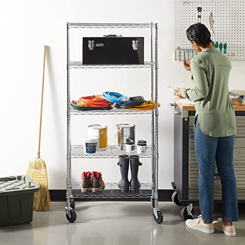 AMAZON BASICS Lagereinheit Schwerlast-Rollregal 5 Böden Schwerlastregal, Chrom